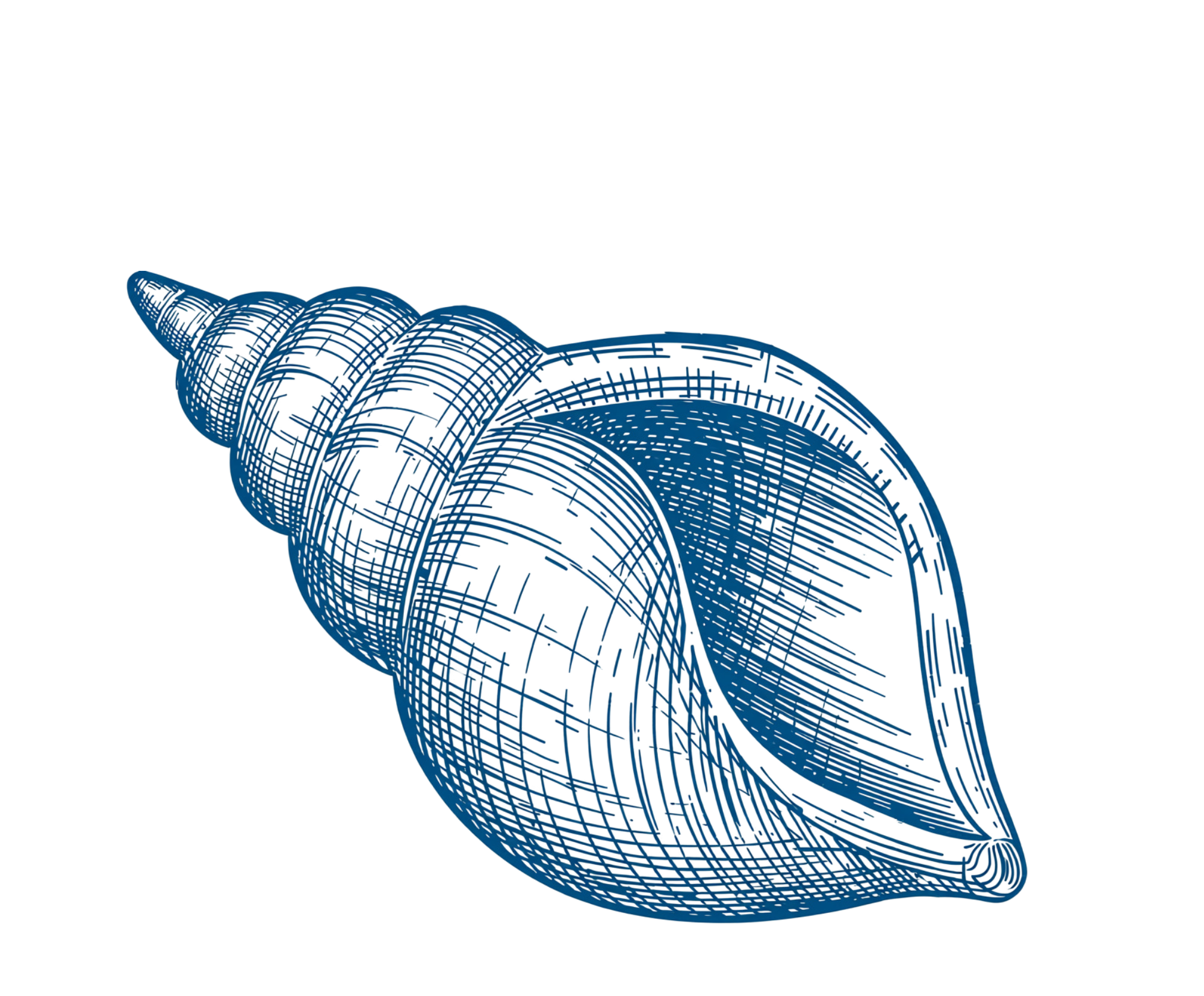 Blue seashell.