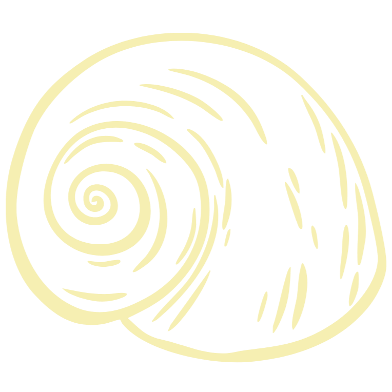 Illustration of a snail shell with a spiral pattern.