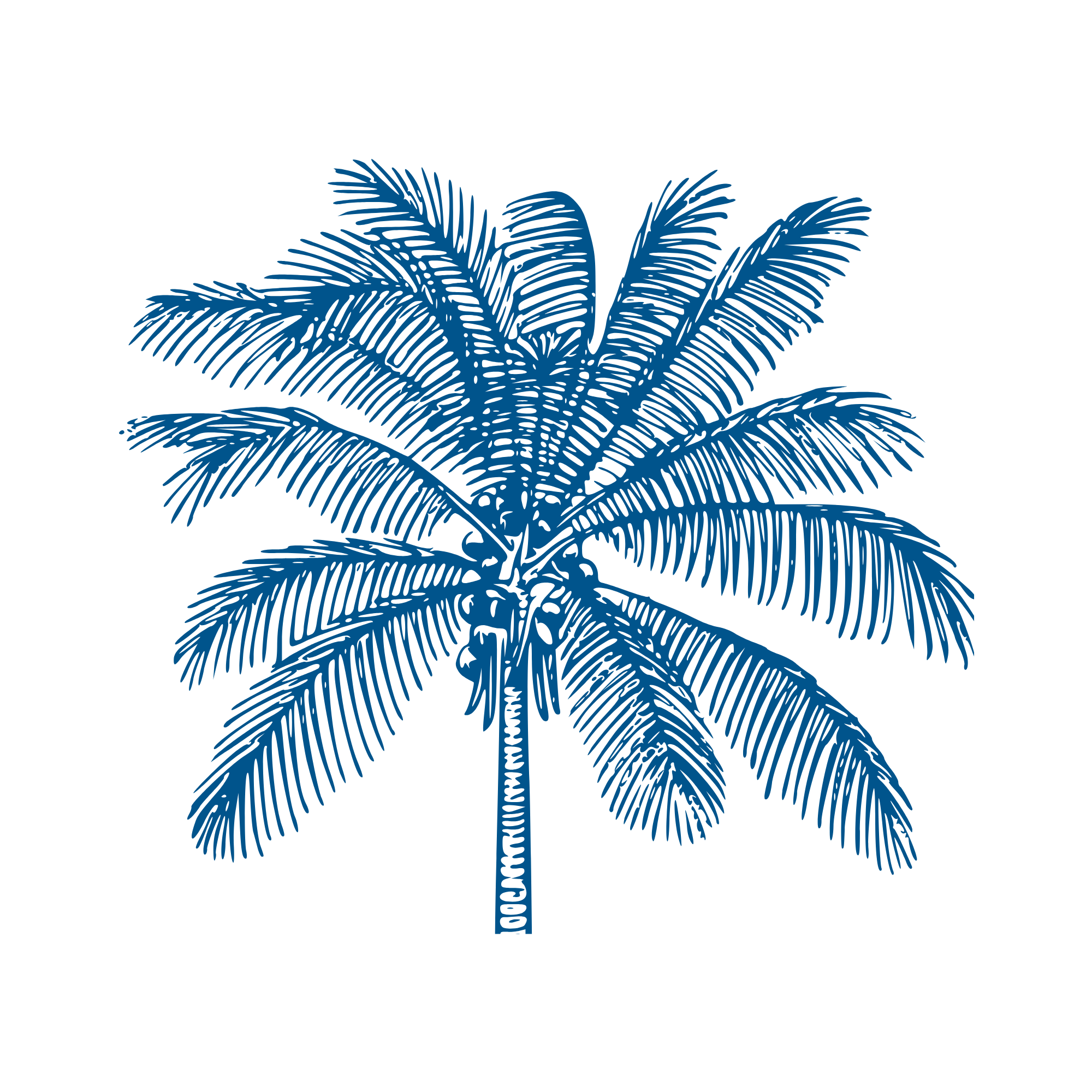 Illustration of a palm tree.