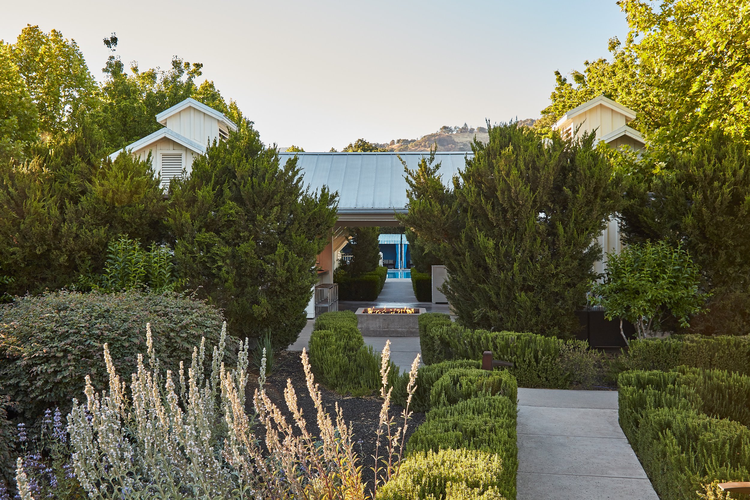 A modern backyard garden with a pathway leading to a pool, surrounded by lush green bushes, trees, and a fire pit.