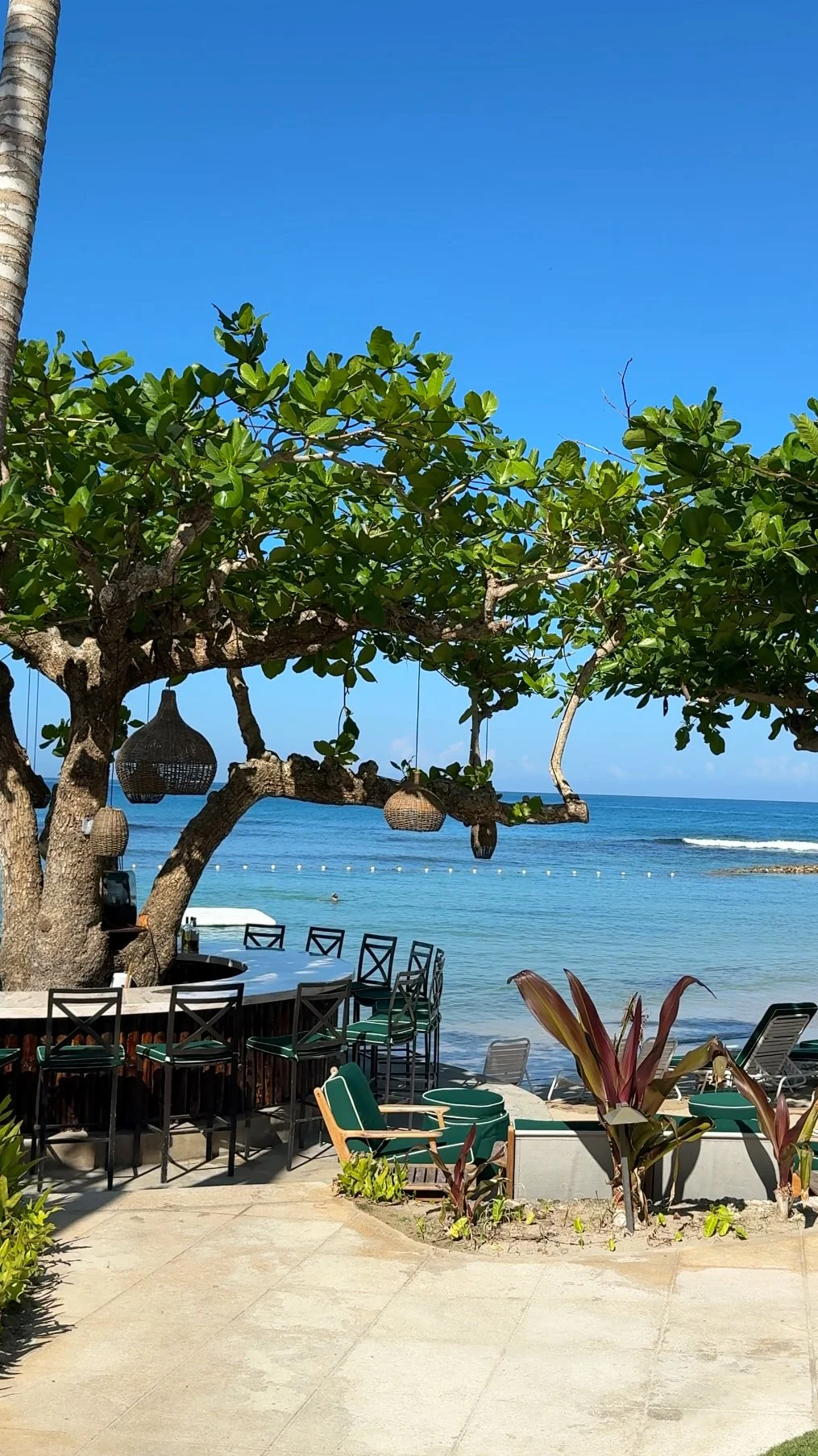 A beachside scene featuring a large tree with hanging woven lanterns, a bar with chairs, and lounge chairs by the ocean under a clear blue sky at Round Hill in Jamaica.