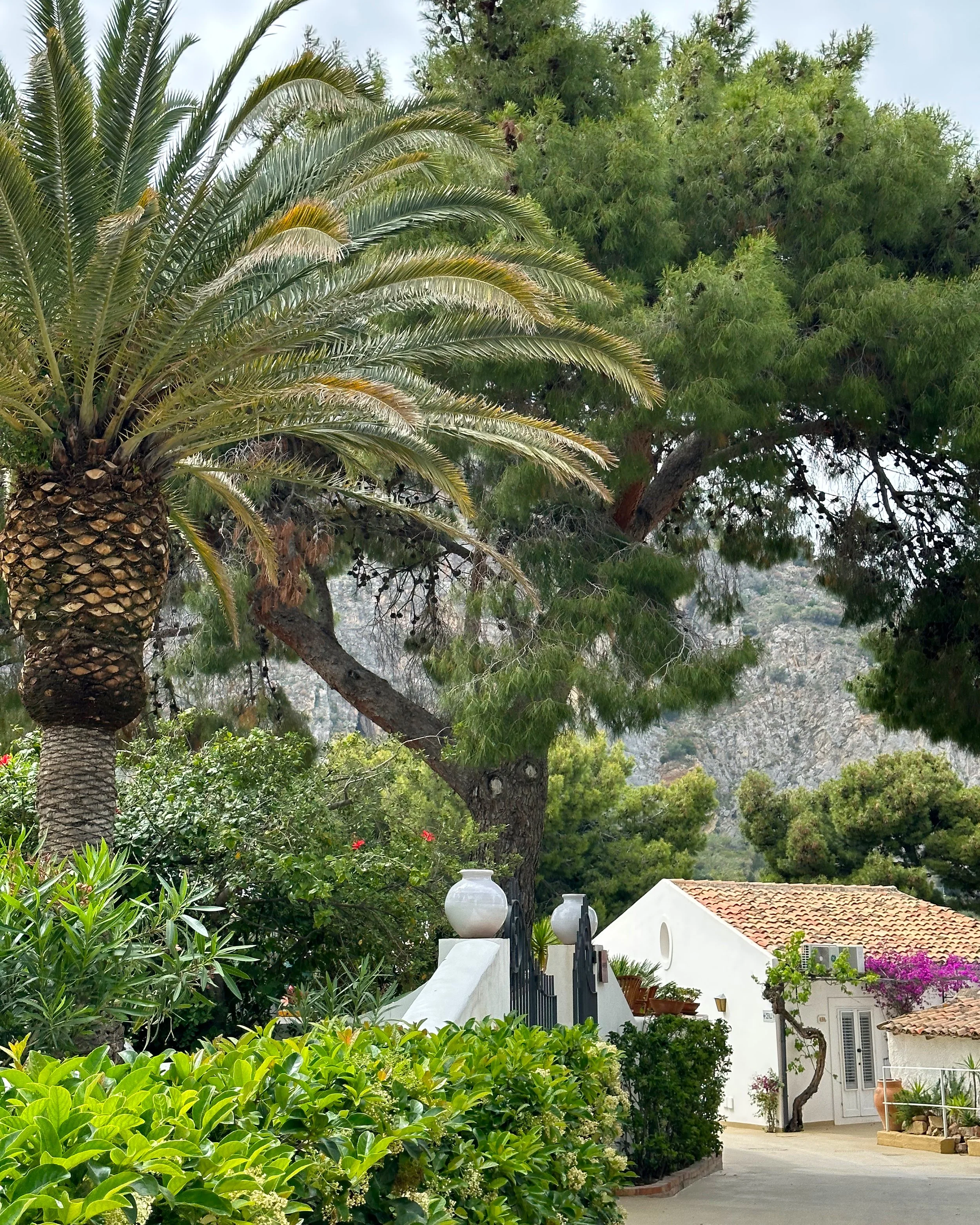 A lush garden scene featuring various green plants and bushes, a white house with a tiled roof, and a pathway. Tall trees and palm trees are visible in the background, with mountains in the distance and a partly cloudy sky overhead.