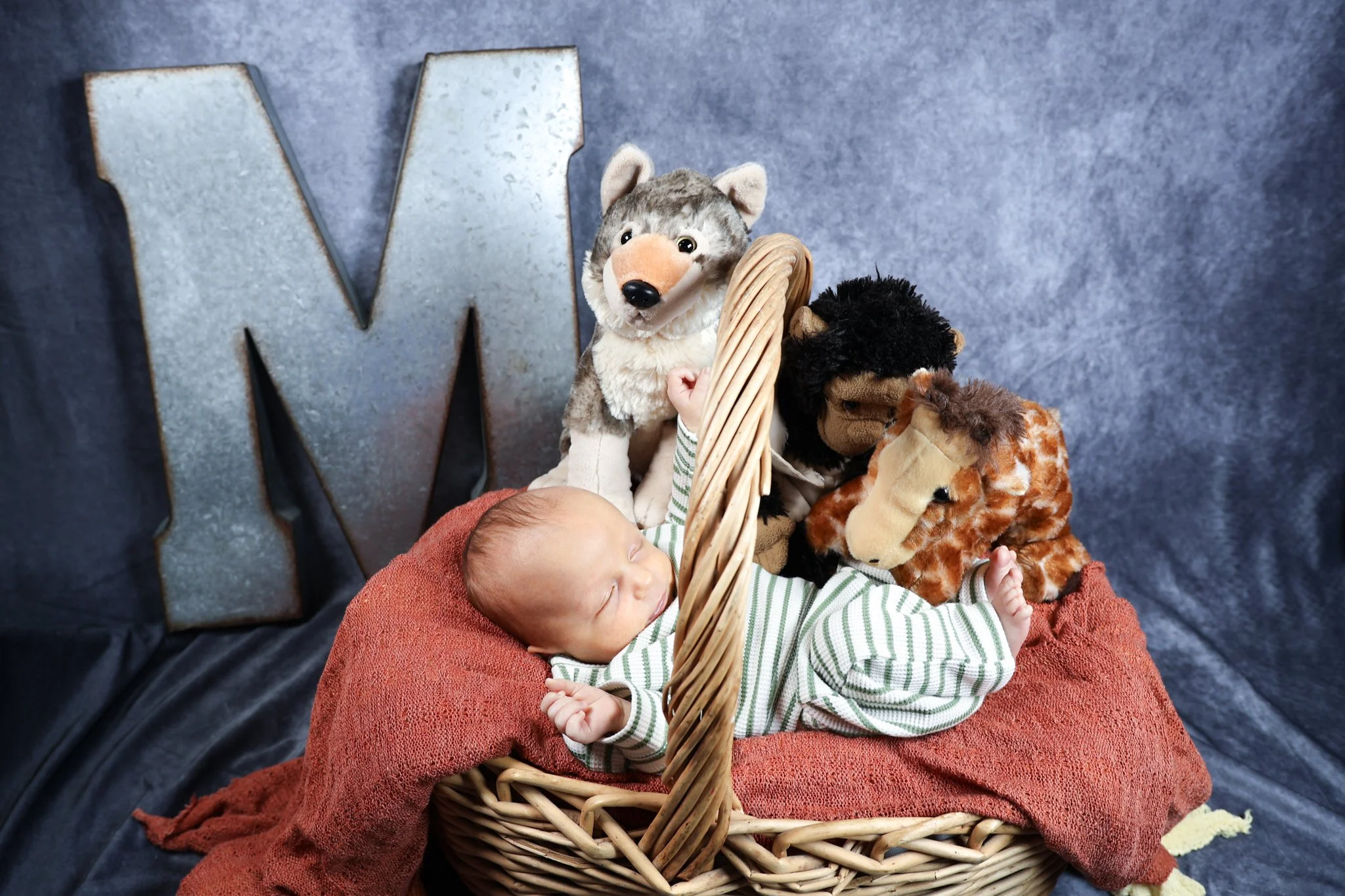 A sleeping baby nestled in a red blanket surrounded by plush animal toys, set against a dark background with a large metallic letter 'W'.