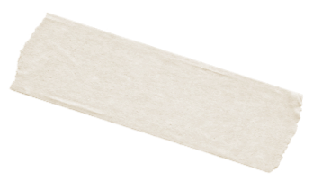 A torn piece of white paper or cloth with rough edges.