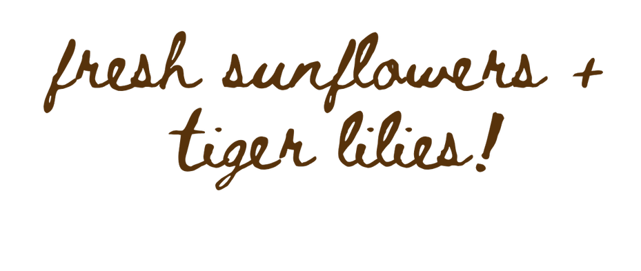 Text on a black background that says "fresh sunflowers + tiger lilies!" in brown handwritten font.