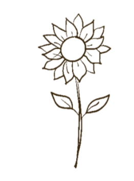 A minimalist line drawing of a sunflower with a black circular center, elongated petals, and two leaves on a single stem.