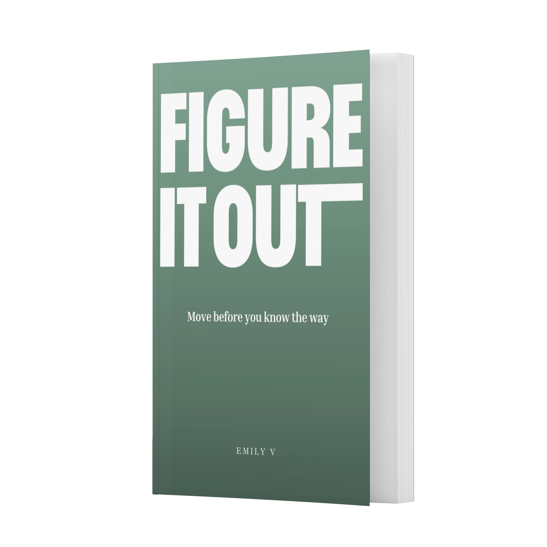 Figure It Out Book