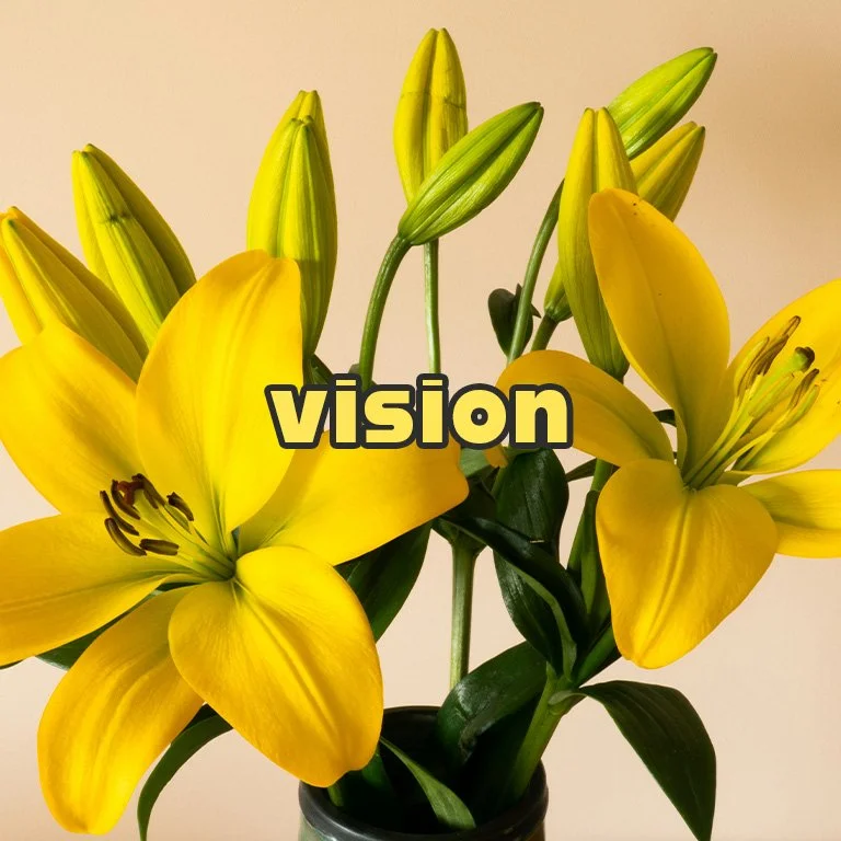 vision.jpg