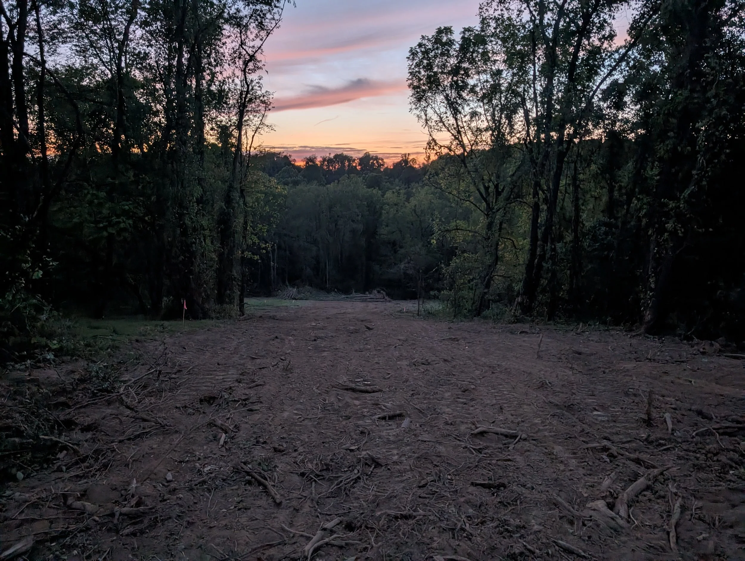A dirt trail through a forest at sunset with trees on both sides and a colorful sky.