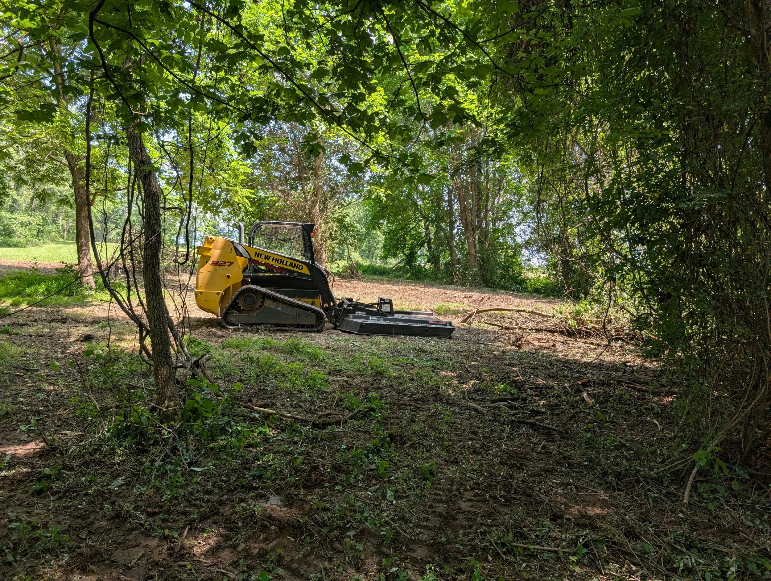 A small yellow and black New Holland compact track loader is clearing a wooded area with trees and green leaves in the background, and the ground has some cleared patches.