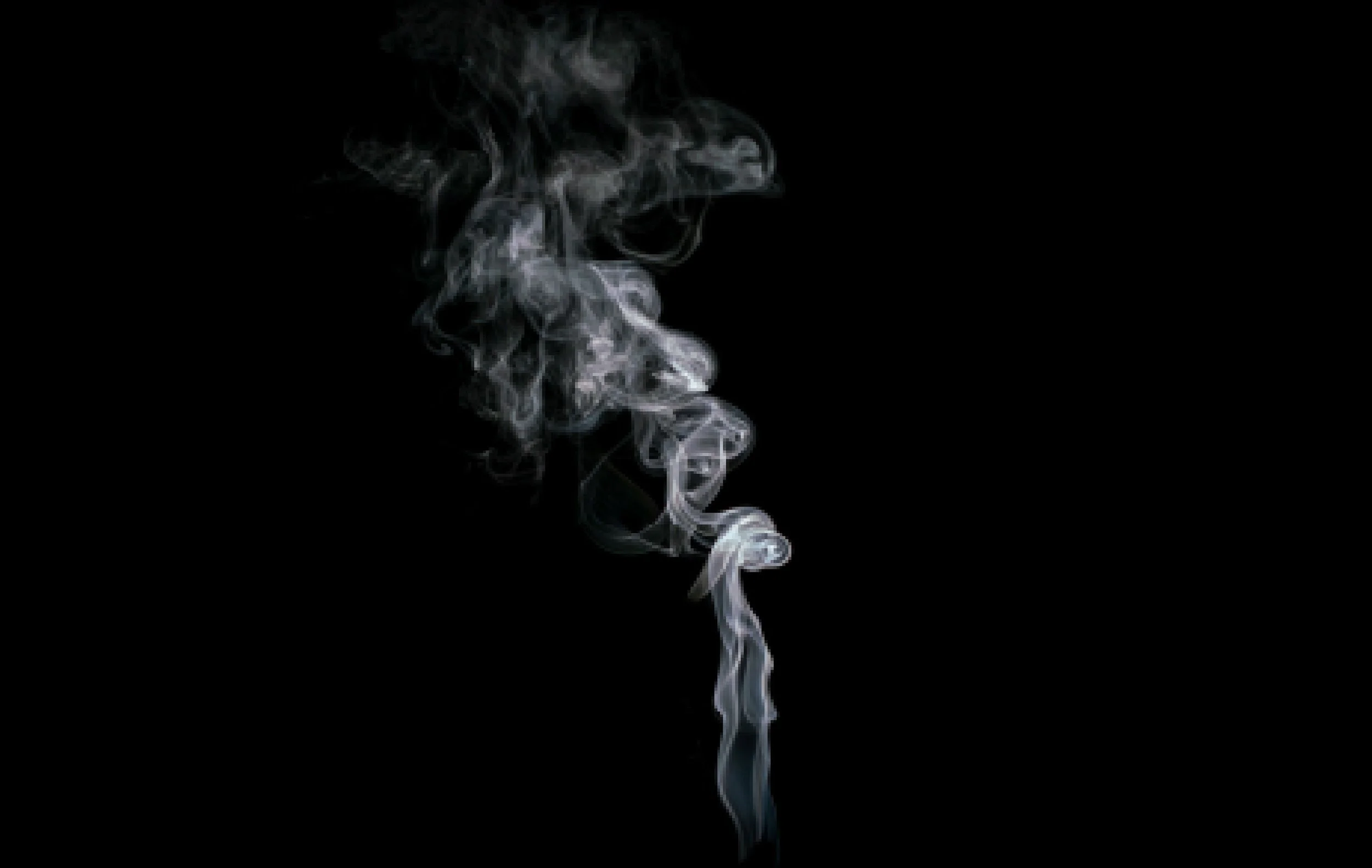 image4_final.jpg
