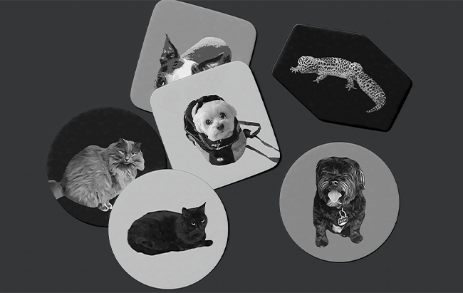 VIVID PET PRINTS