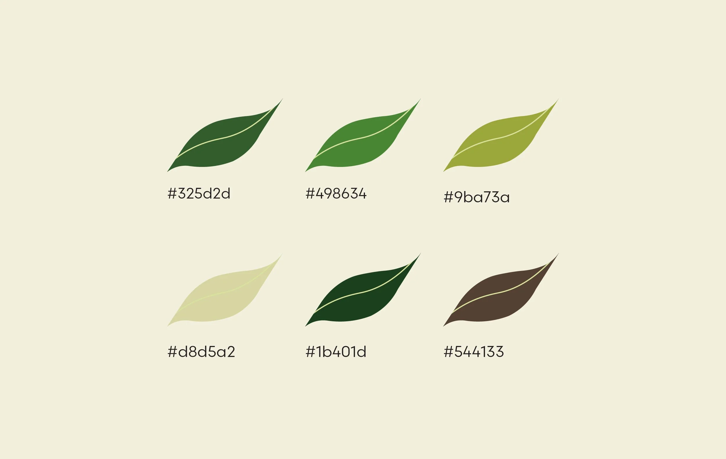 carecolorpalette_final.jpg