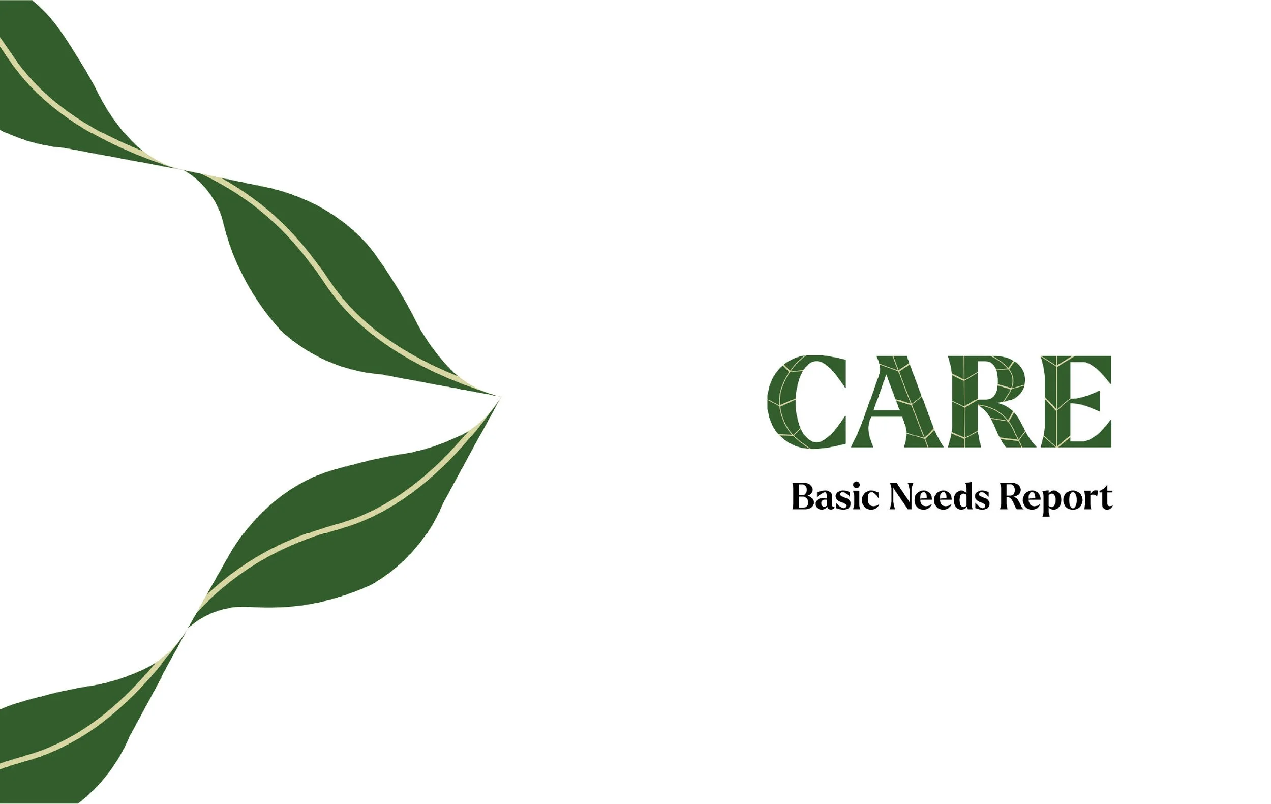 carereport_final.jpg