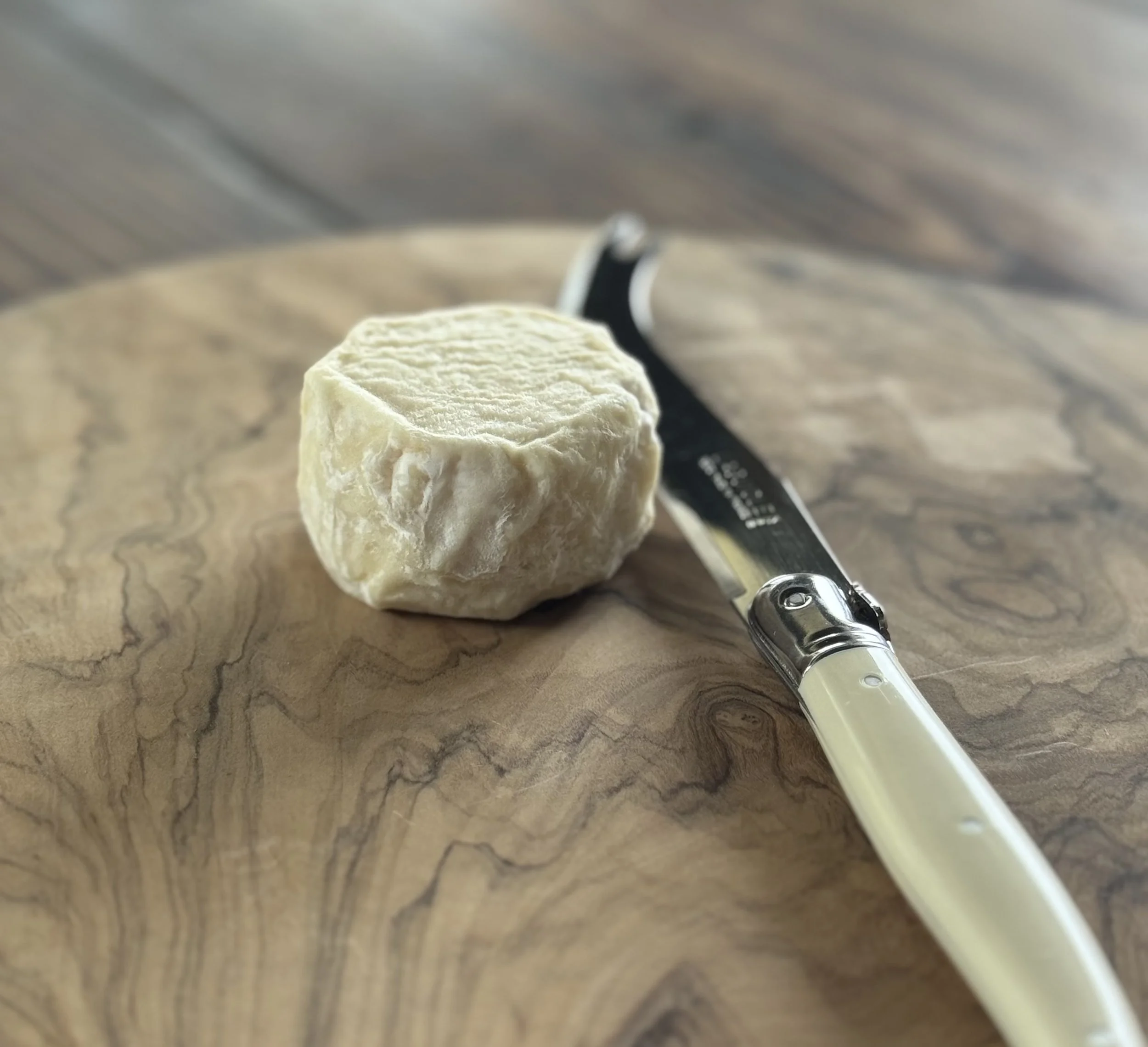 Caprinette solo.jpeg