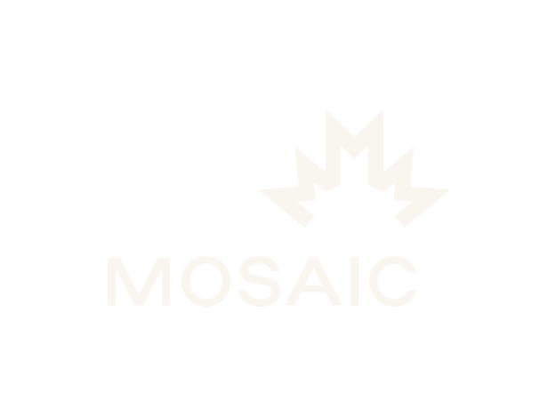 13_white.png
