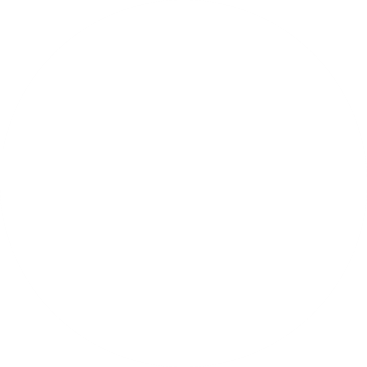 PUBLIC TRANSit