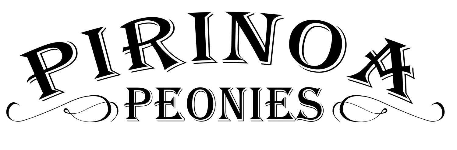Pirinoa Peonies