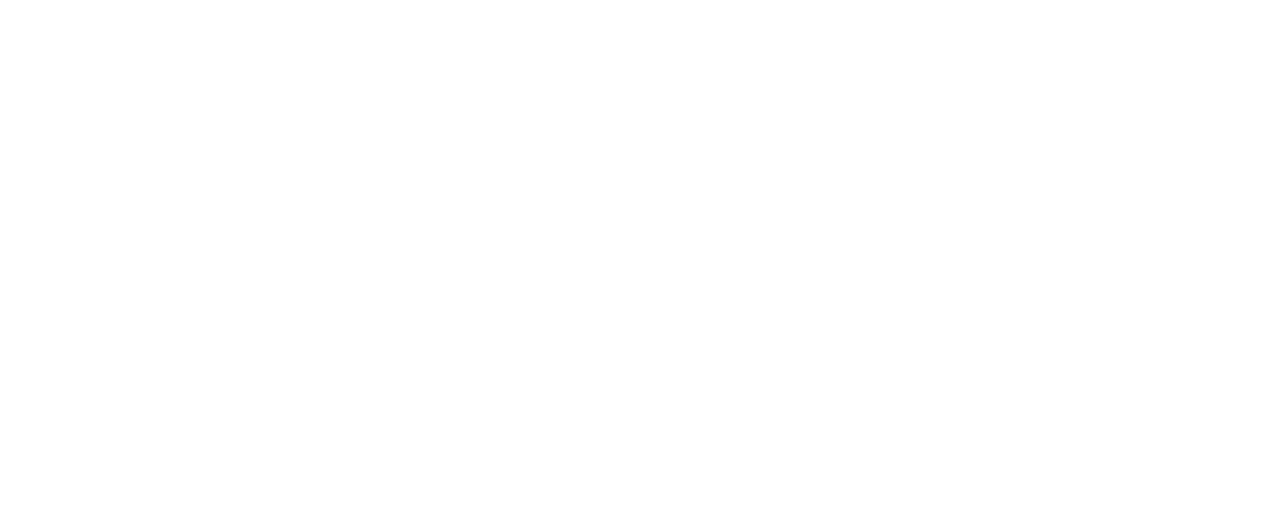 Verizon_SolidWordmark_wht_RGB.png