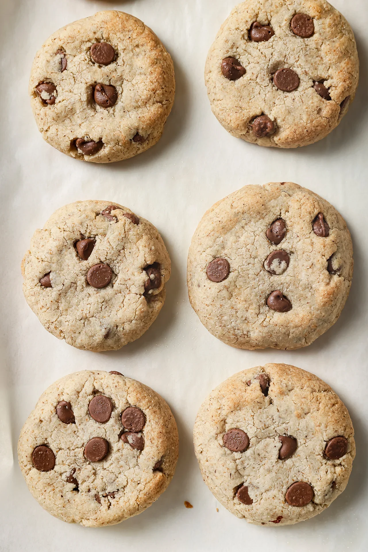 Chocolate Chip Cookies
