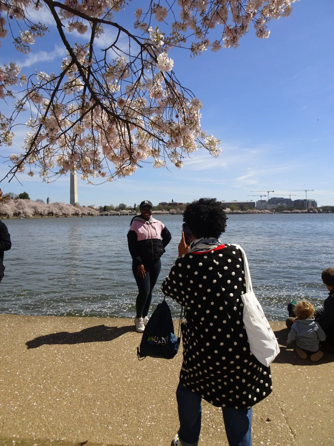 People by a body of water with cherry blossom trees and buildings in the background on a sunny day.