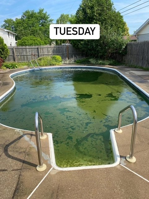 A backyard swimming pool with green algae on the surface. The image has a label saying 'TUESDAY'.