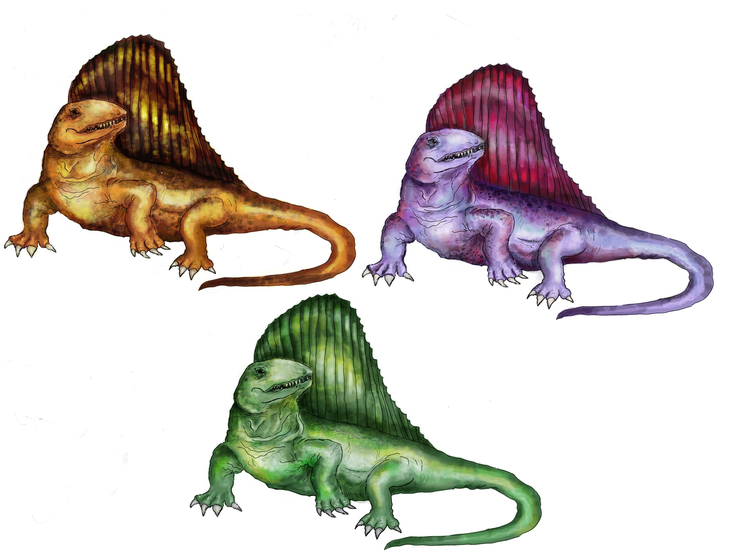 Color Comps copy.jpg