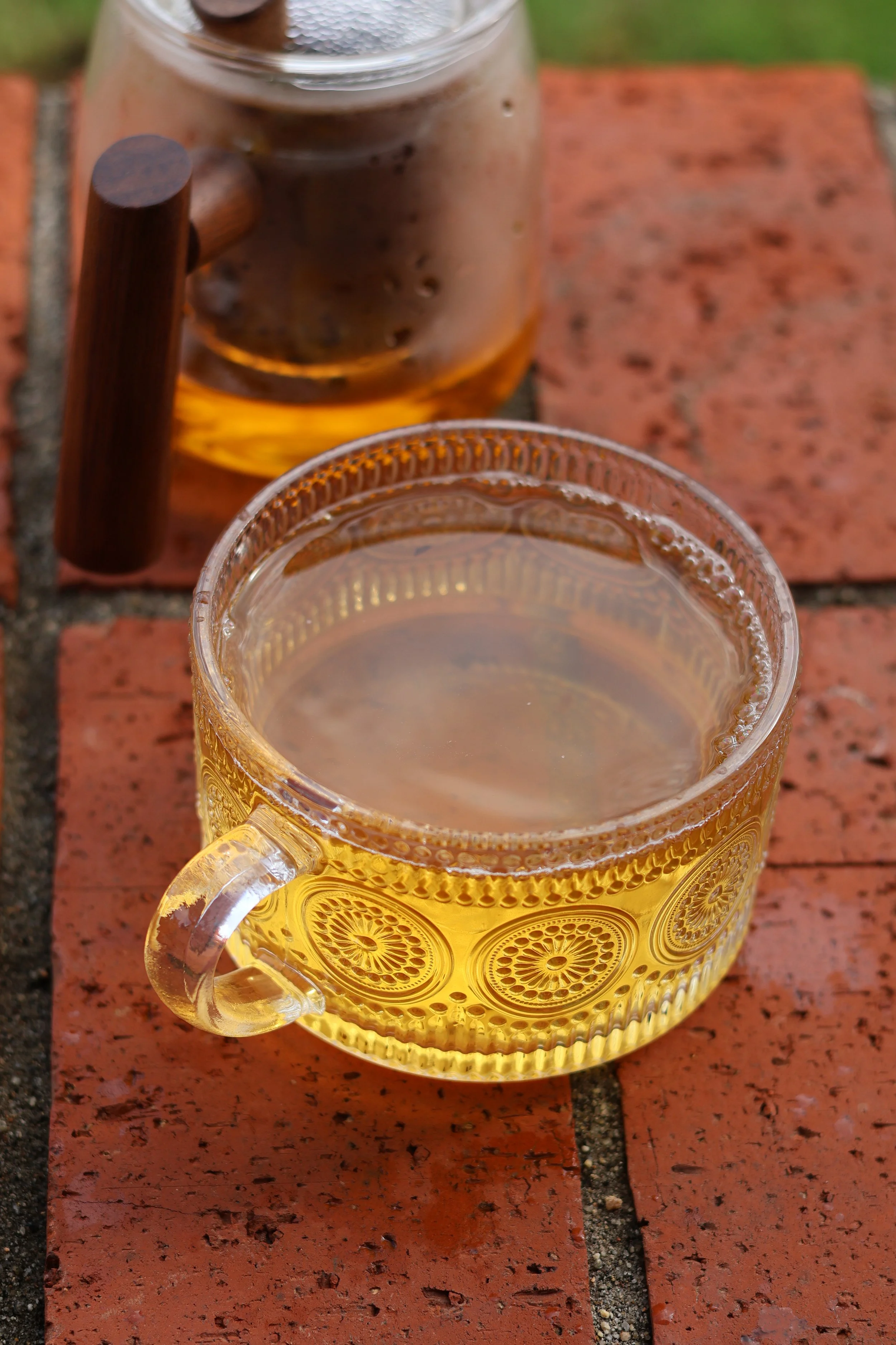 CatSpring Yaupon Tea - Brand Work