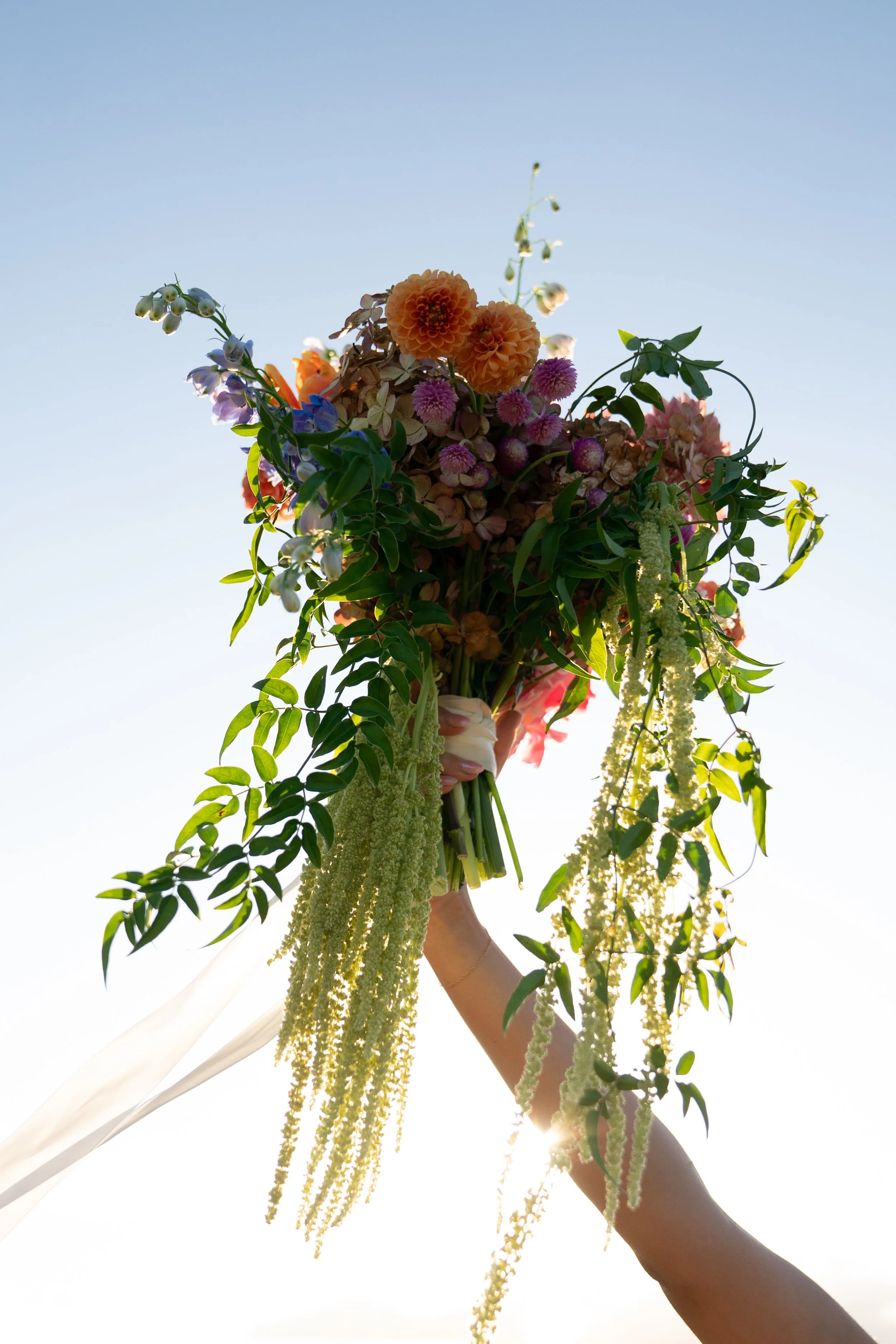 Sky Bouquet Before