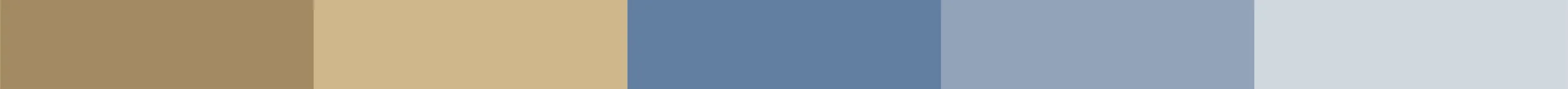 Horizontal row of color blocks in shades of brown, beige, blue, and gray.