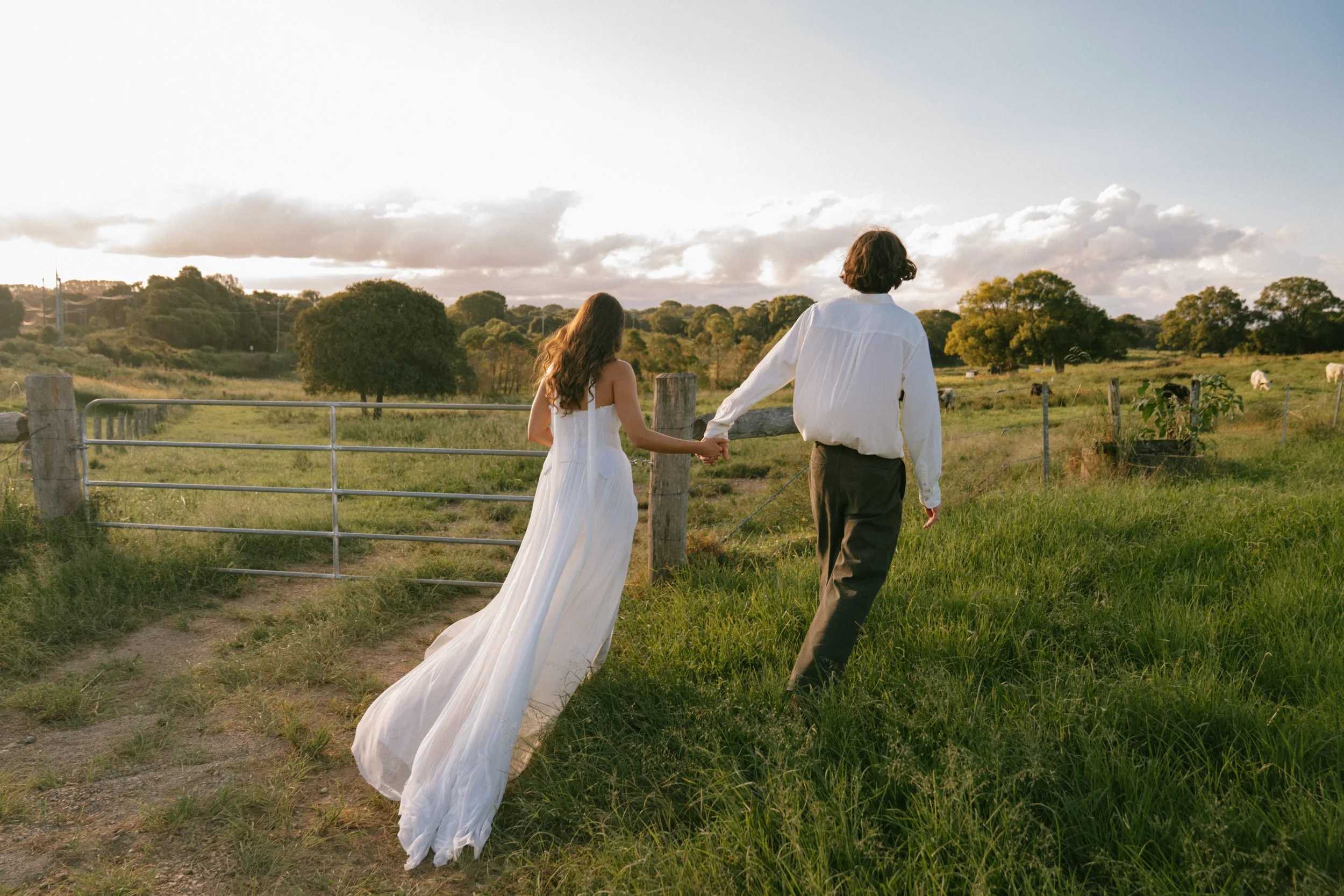 A couple holding hands and walking through a green pasture with trees and cows, during sunset or sunrise.