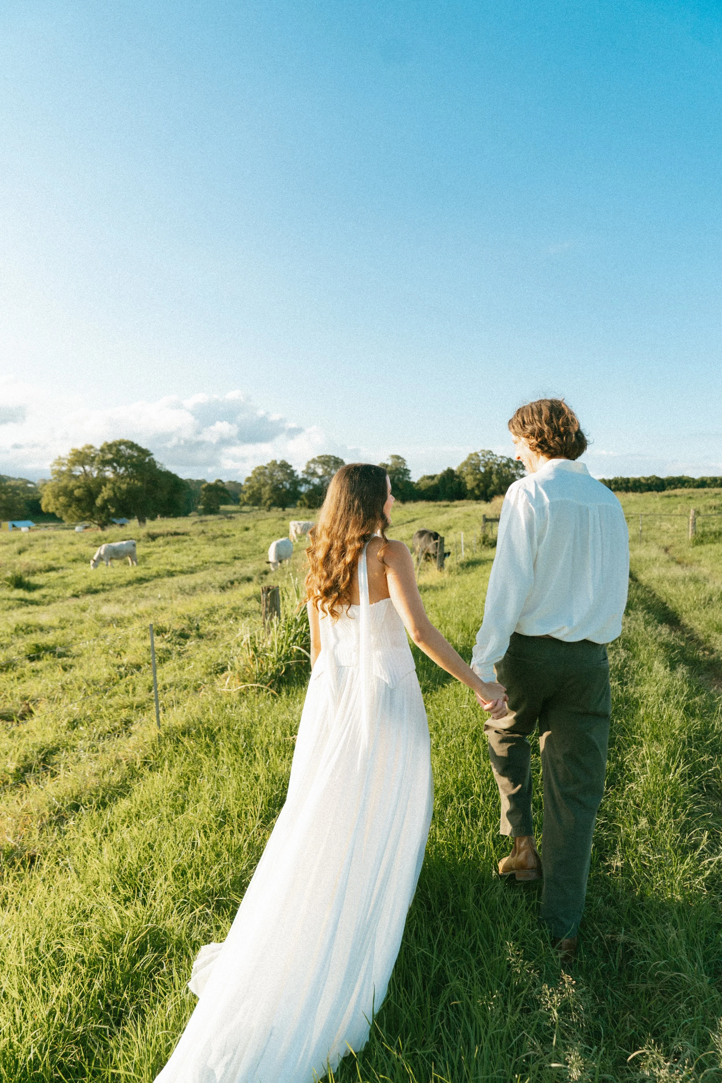 A couple holding hands walking through a grassy field with cows grazing, facing away from the camera, under a clear blue sky.