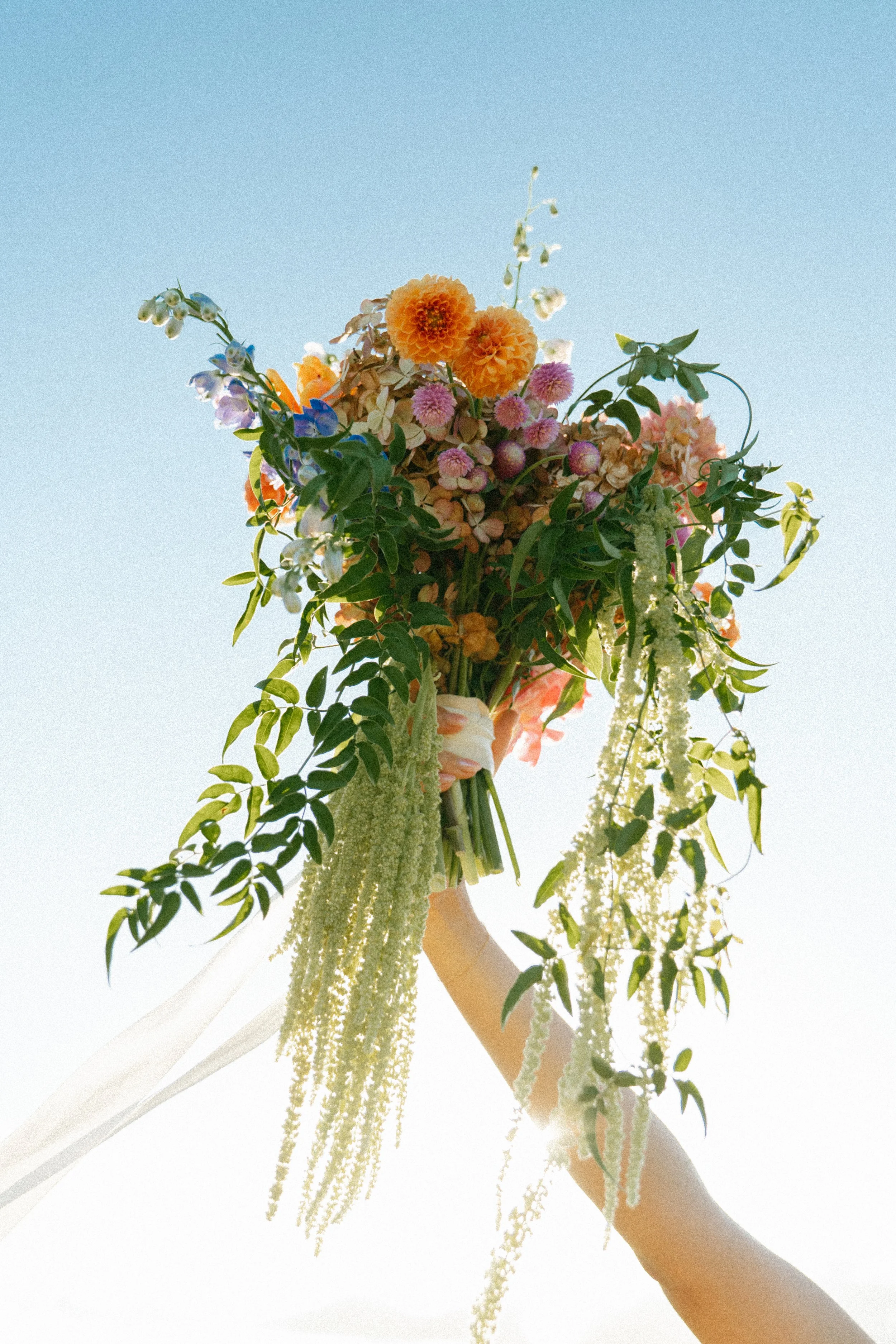Bouquet of flowers held up to blue sky