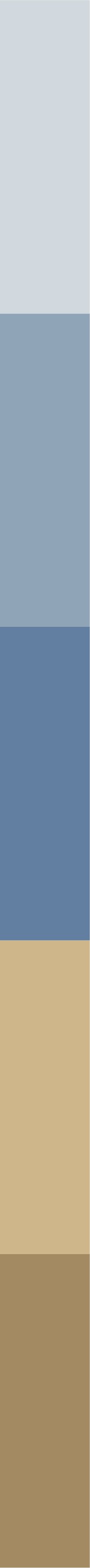 A vertical color gradient bar transitioning from light blue at the top to beige at the bottom.