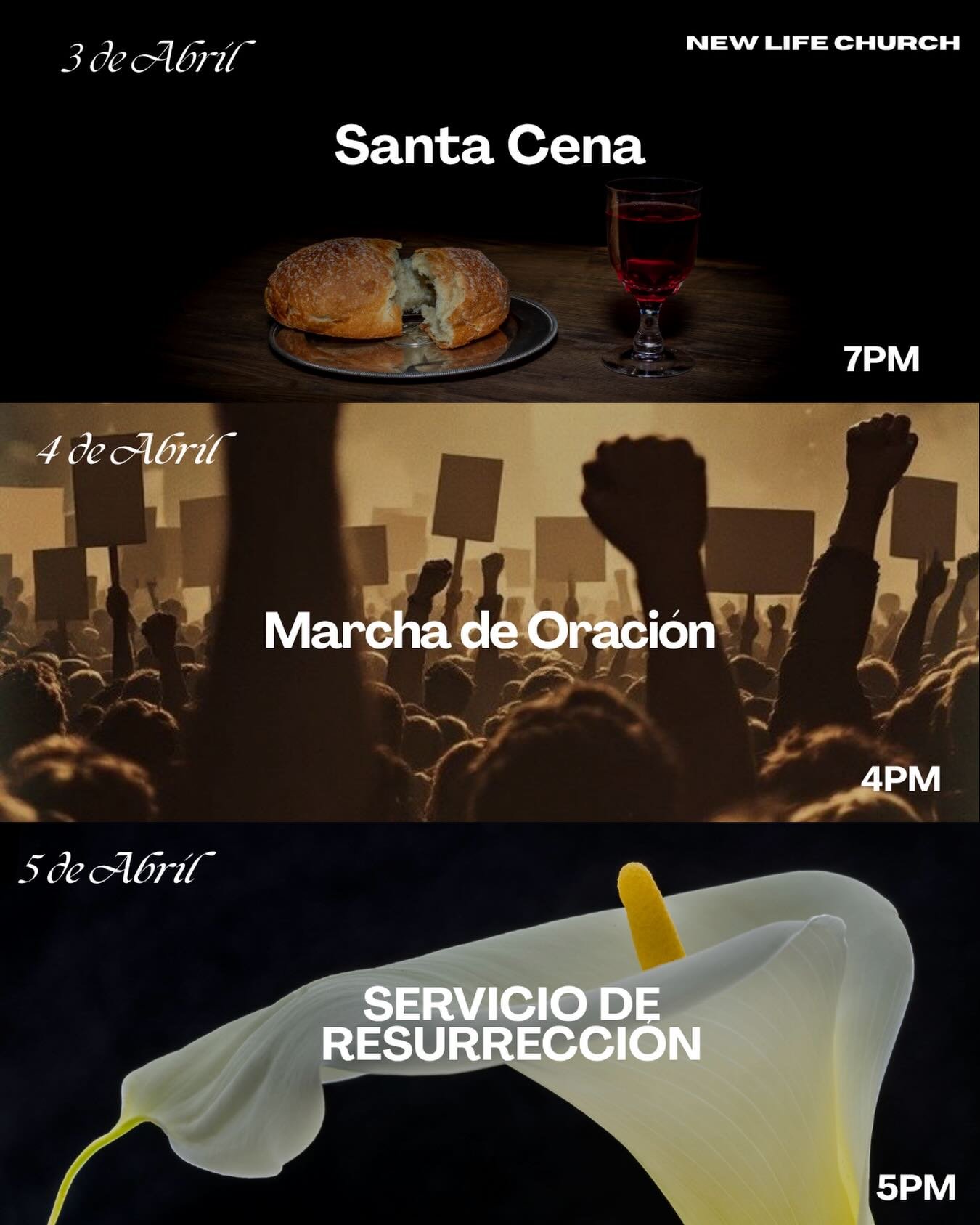 &iexcl;Prep&aacute;rate para vivir d&iacute;as que marcar&aacute;n tu coraz&oacute;n! 
📩 Para m&aacute;s detalles, cont&aacute;ctanos por mensaje privado

📍| 99 N.San Antonio Ave Upland,CA 91786