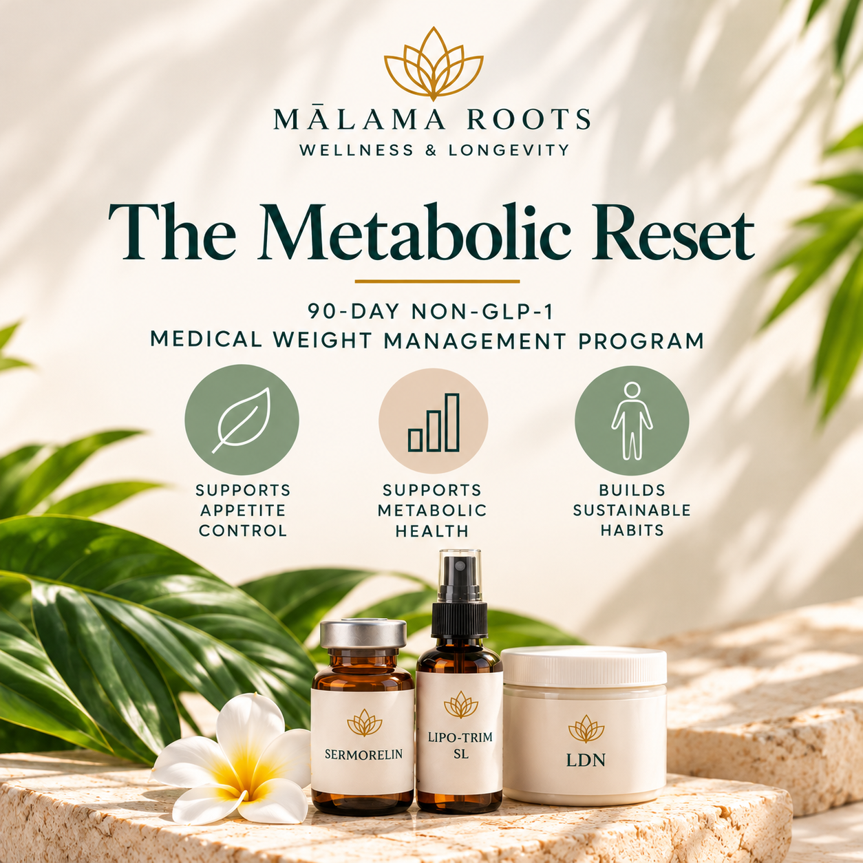 The Metabolic Reset Wellness Program.png