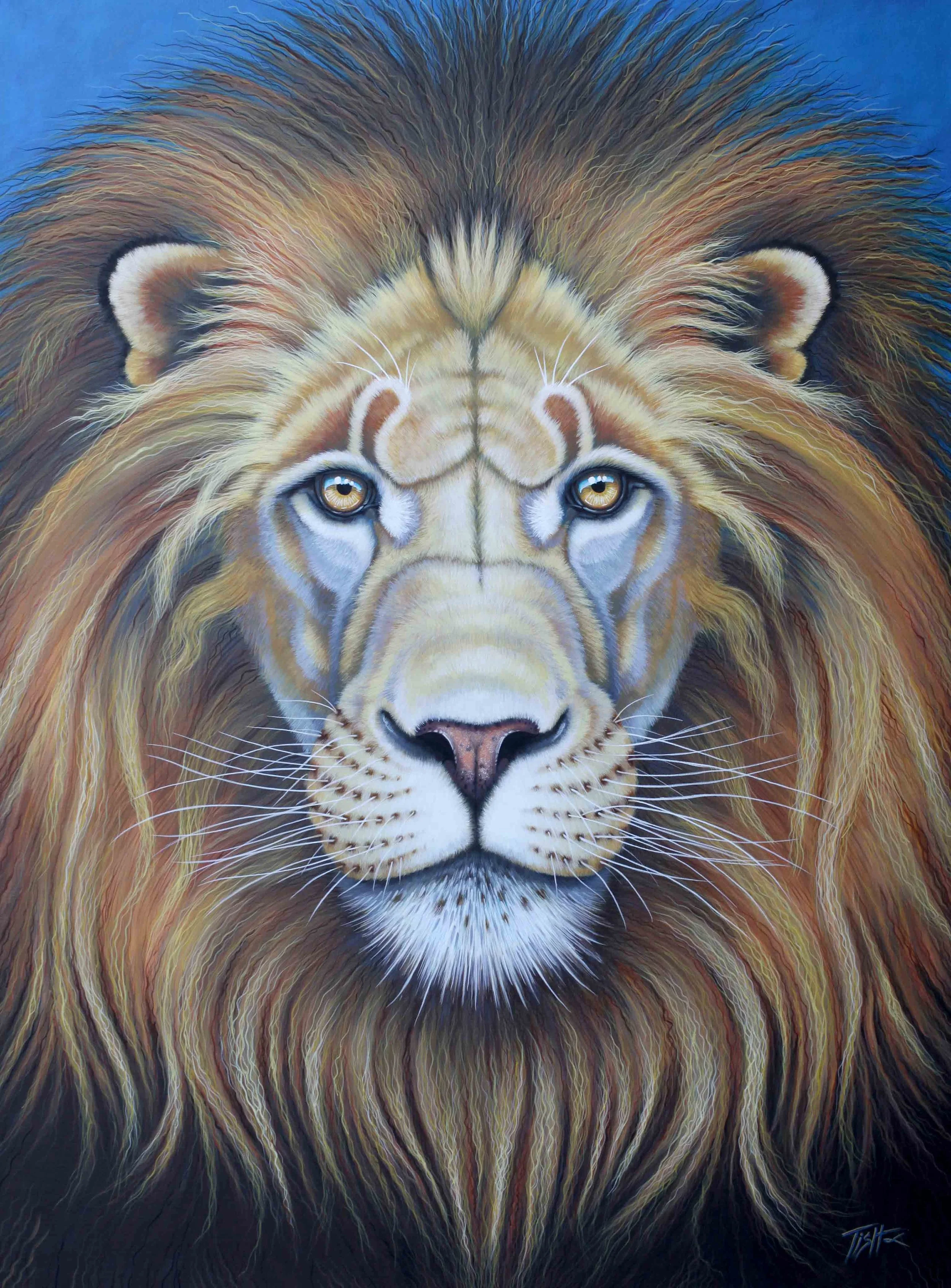 Majestic Lion's Mane