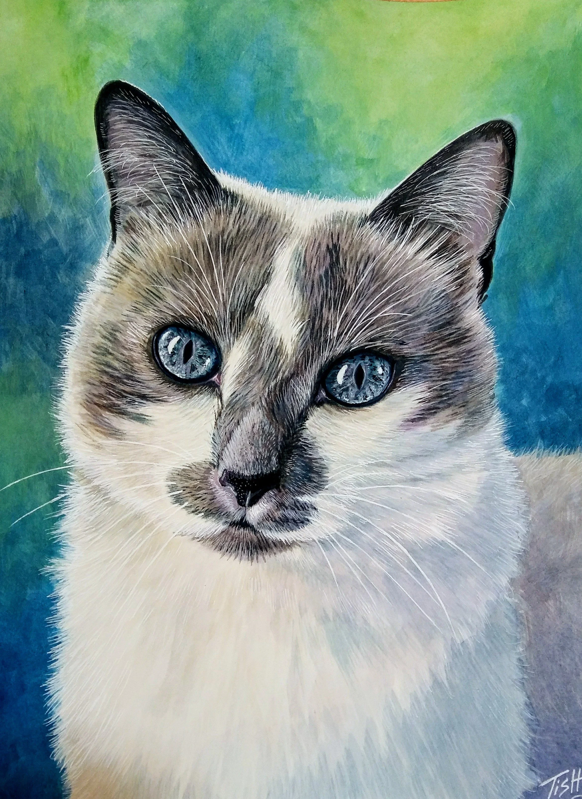 Close-up of a Siamese cat with blue eyes against a colorful blue, green, and yellow background.