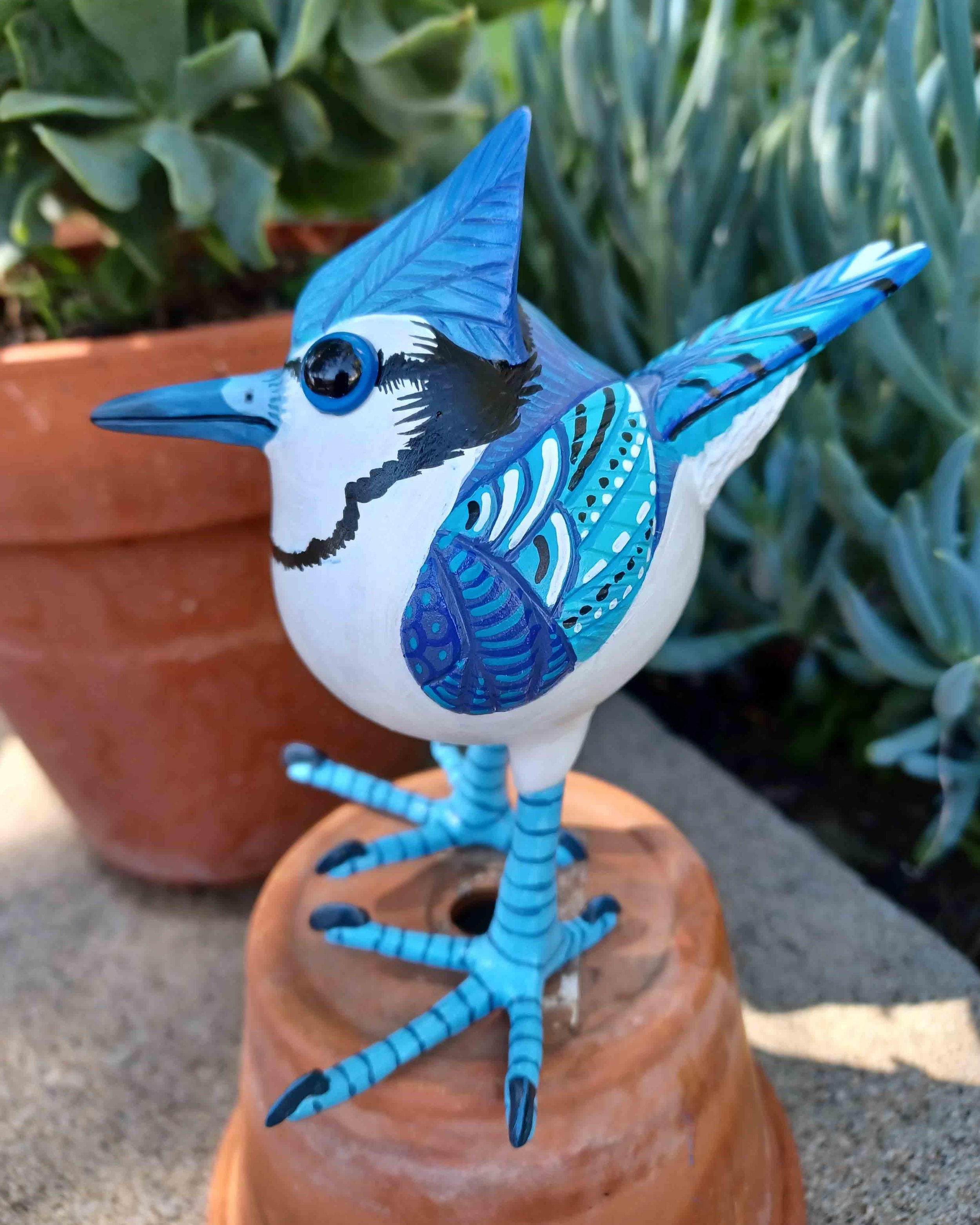 Blujay #11 ......................SOLD