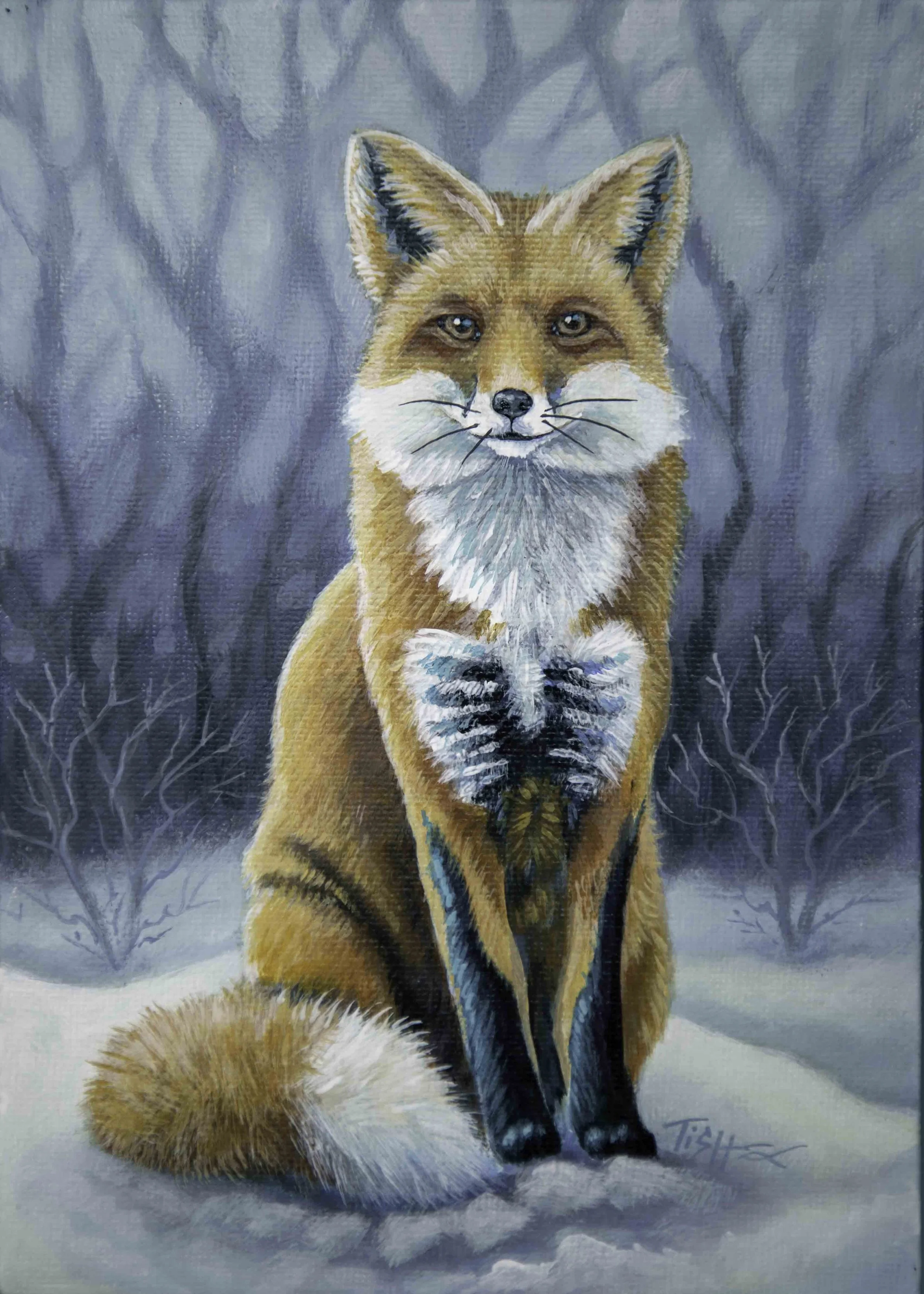 Red Fox Snow
