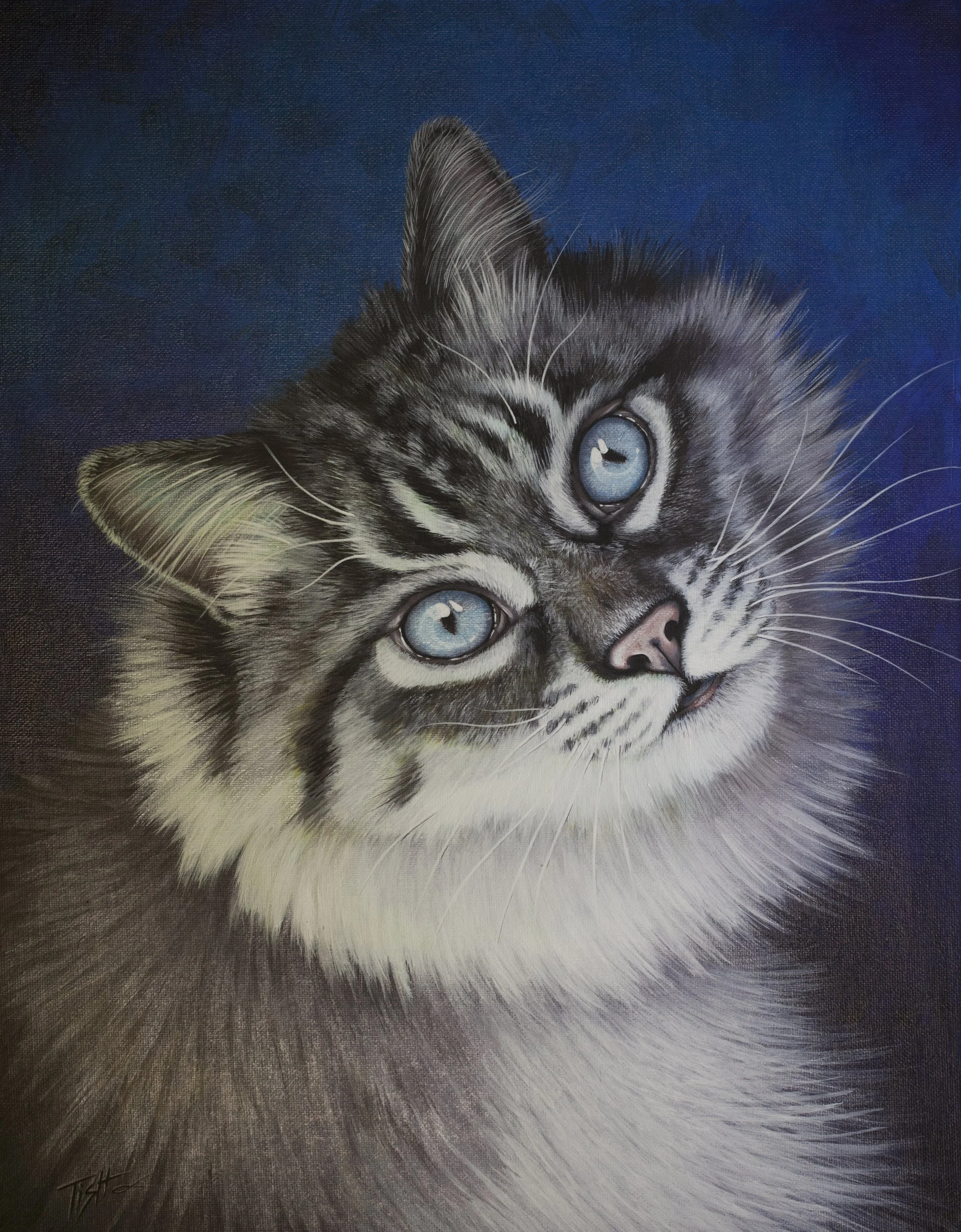 A realistic painting of a fluffy gray tabby cat with blue eyes, looking upward, set against a dark blue background.