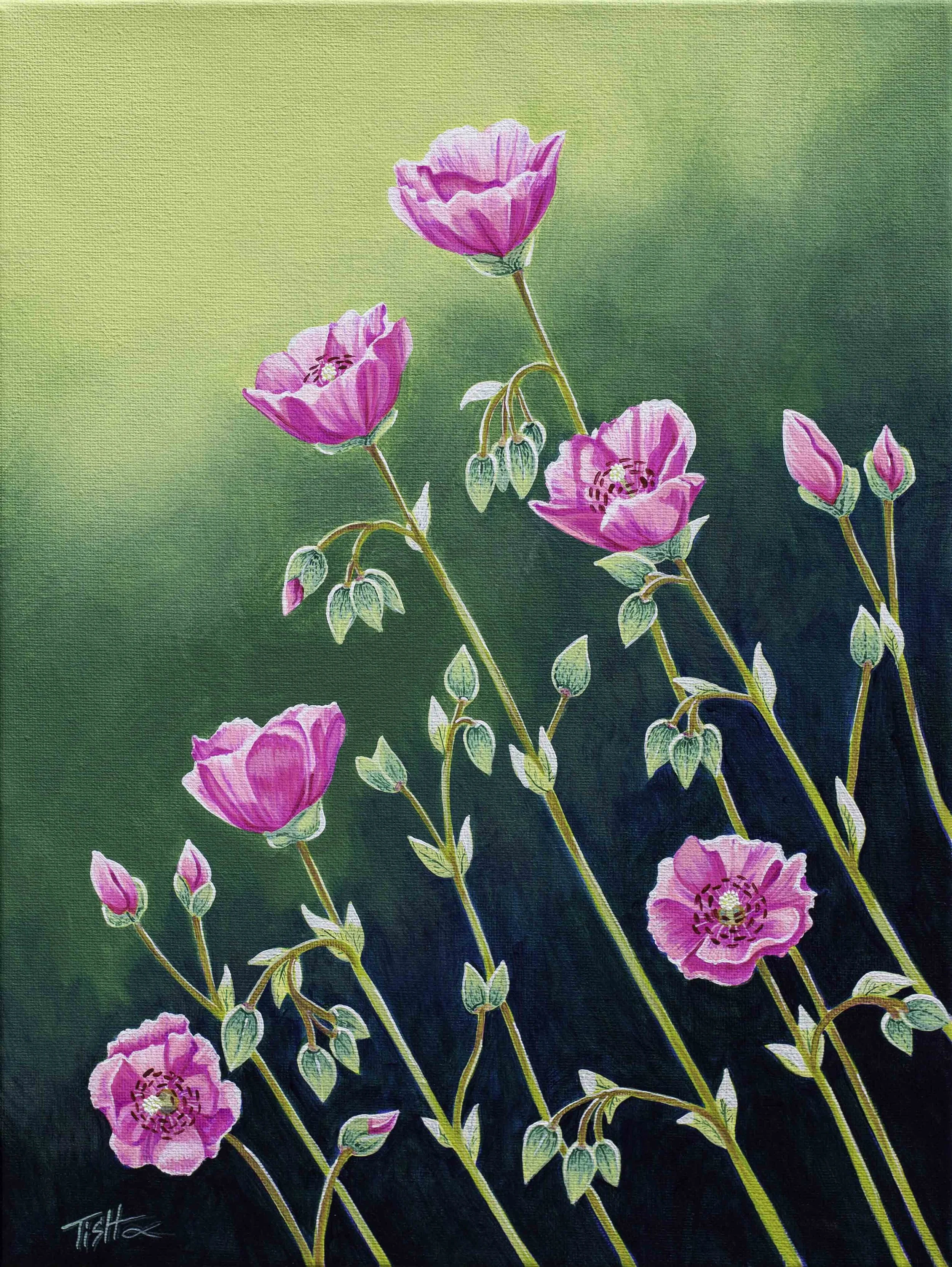 Purple Desert Flowers