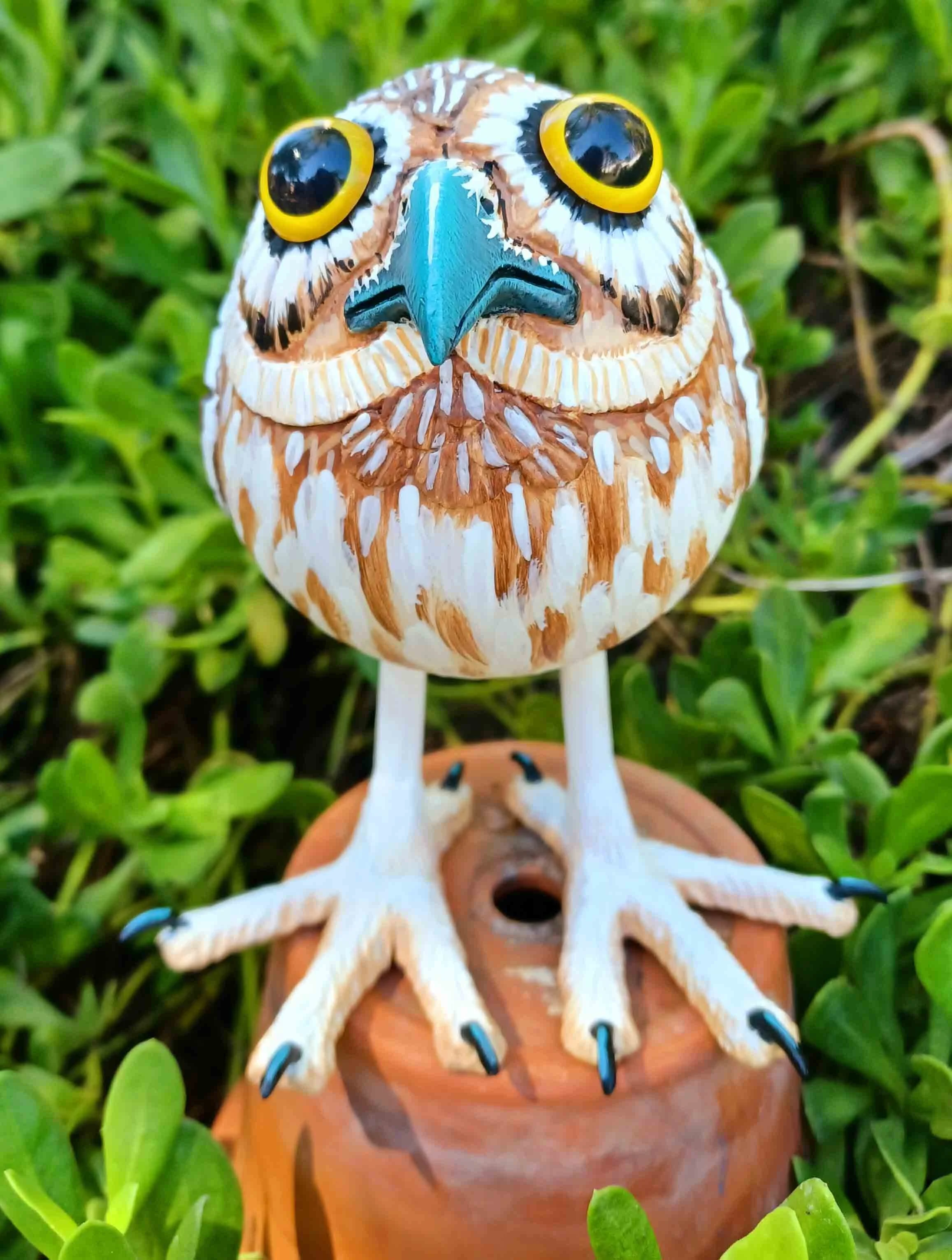 Saw-Whet Owl #8