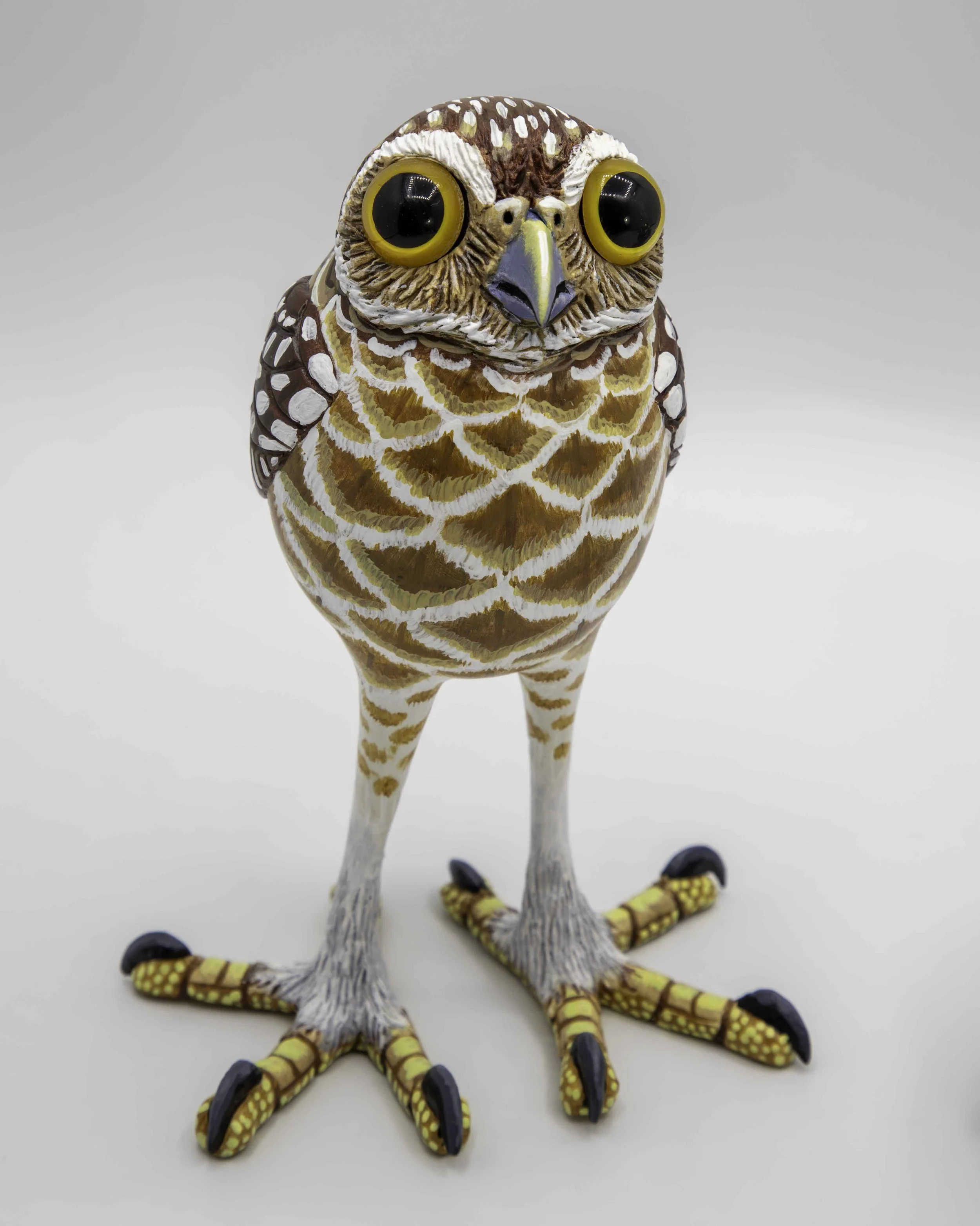 Burrowing Owl Gourd..............   SOLD