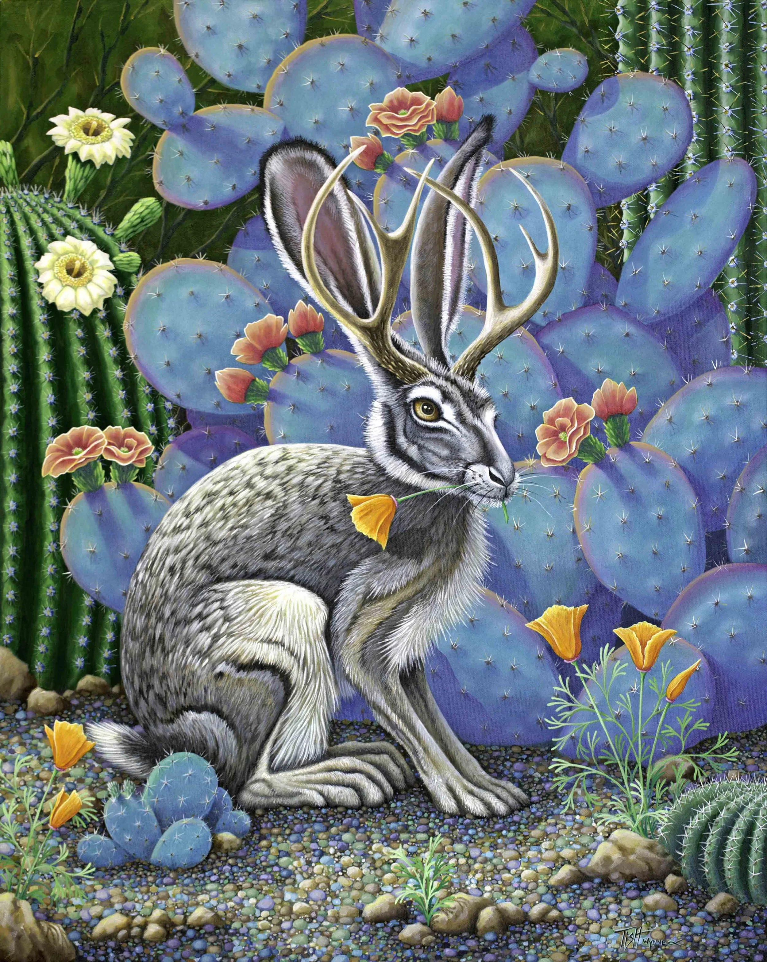 Jackalope Poppy  ...........                        SOLD