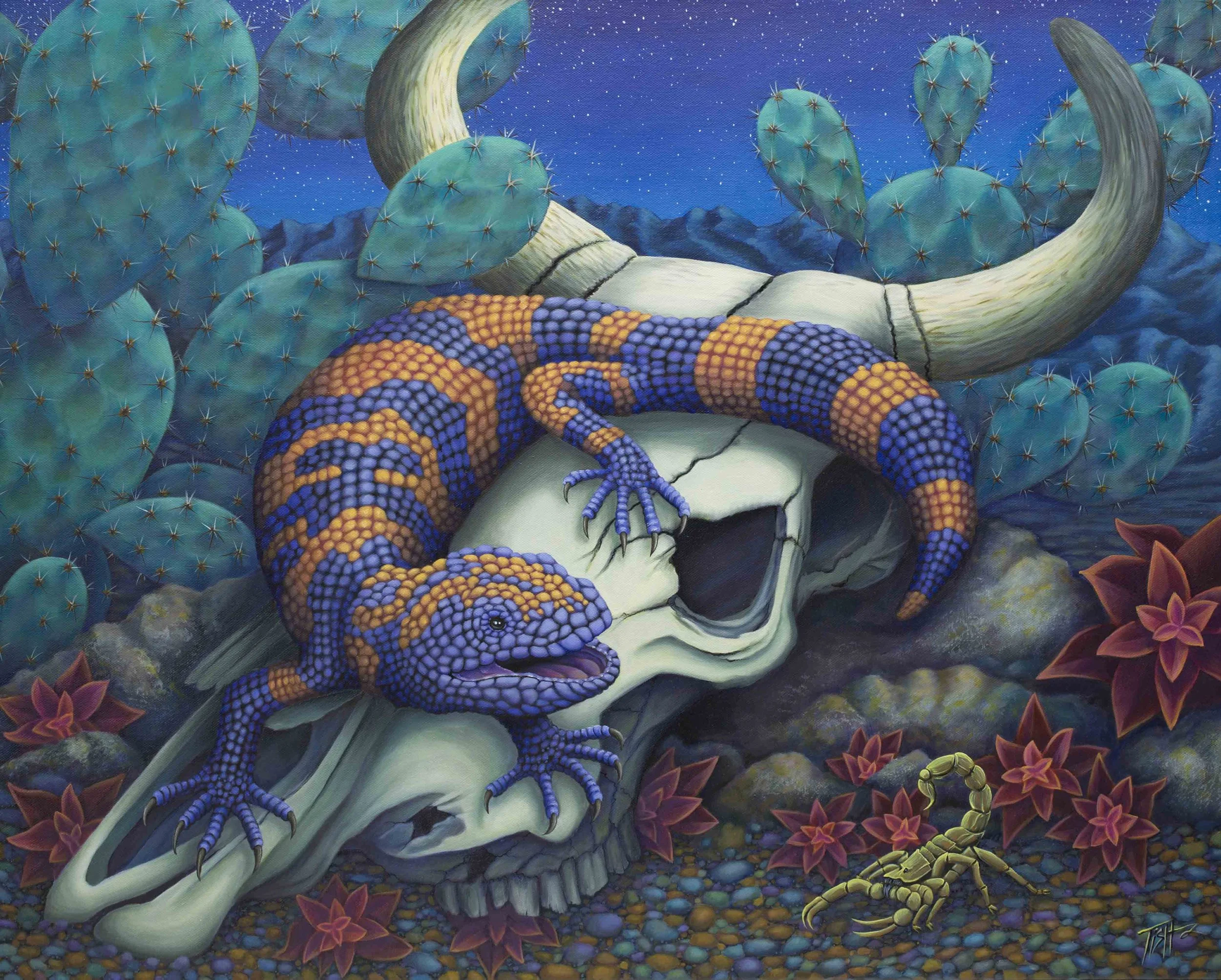 Gila monster in the Night