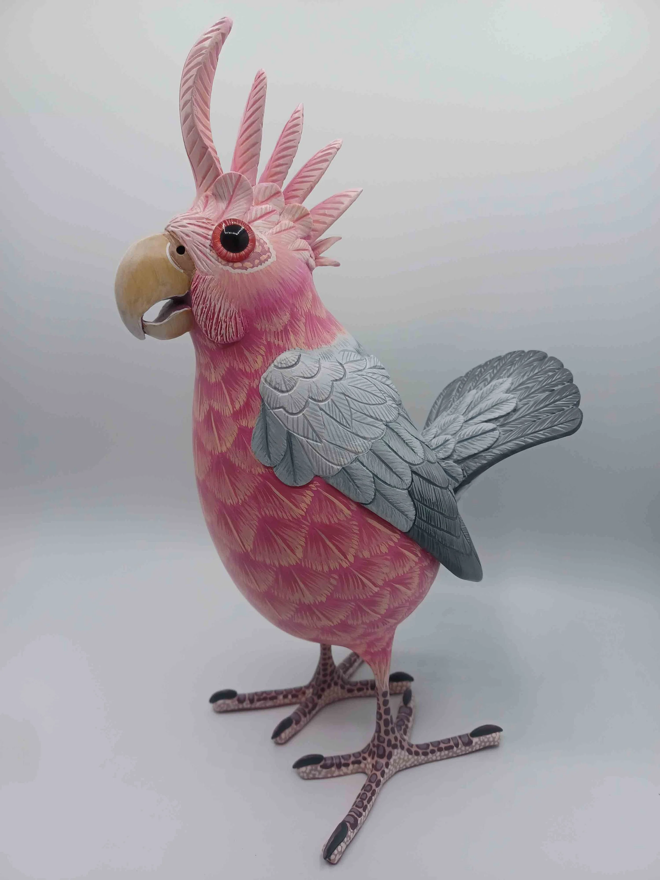 Galah Pink Cockatoo #64