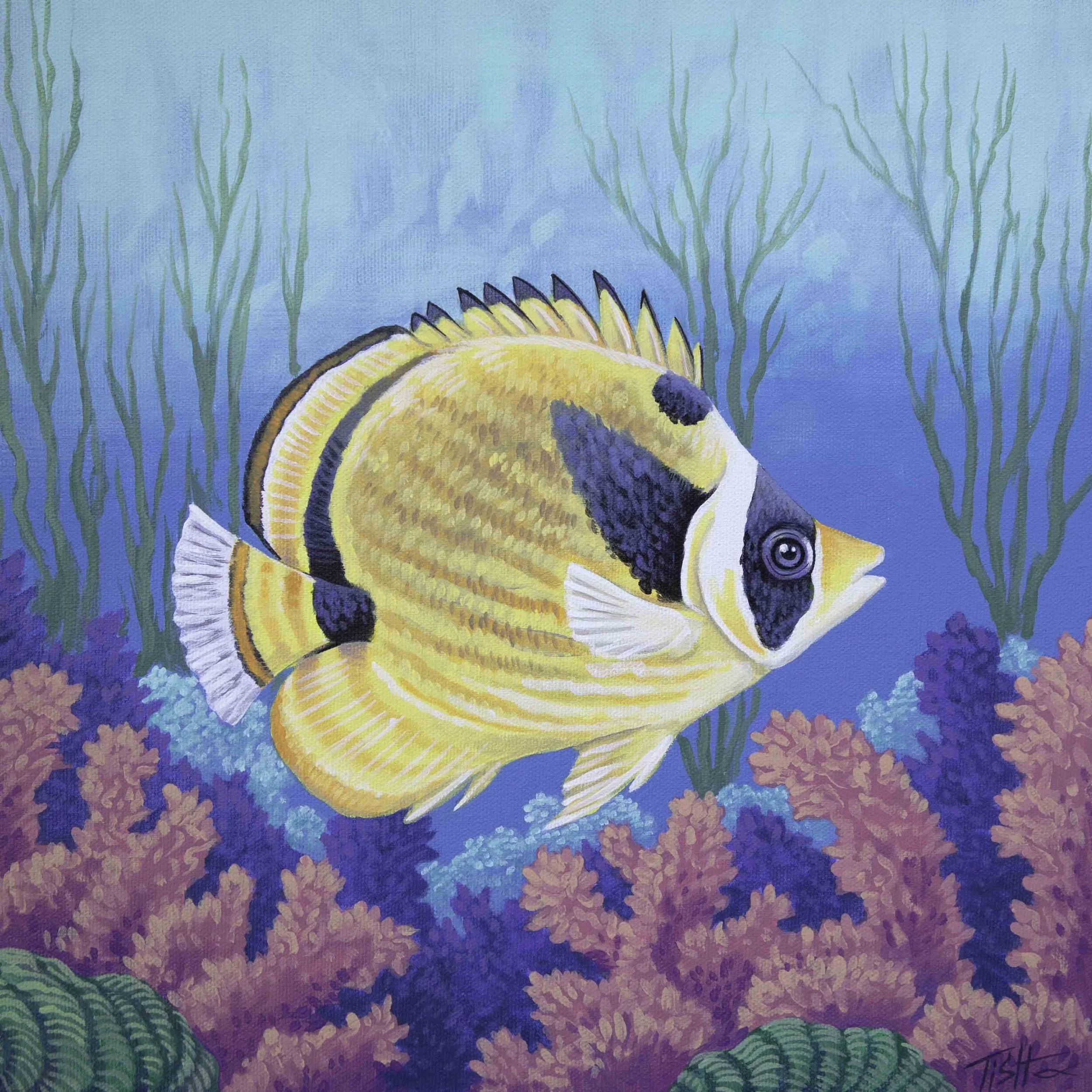 Butterfly Fish