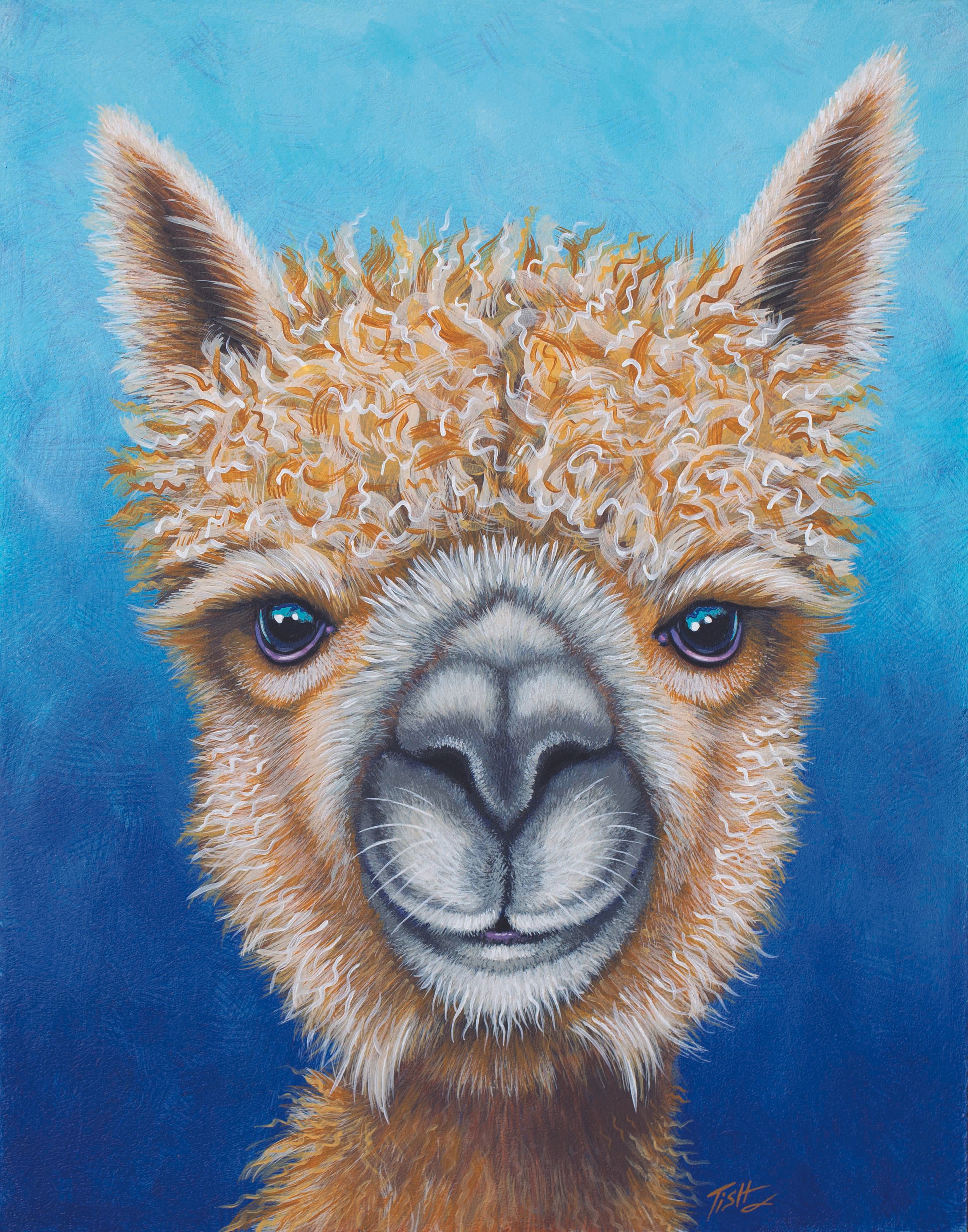 Llama Face