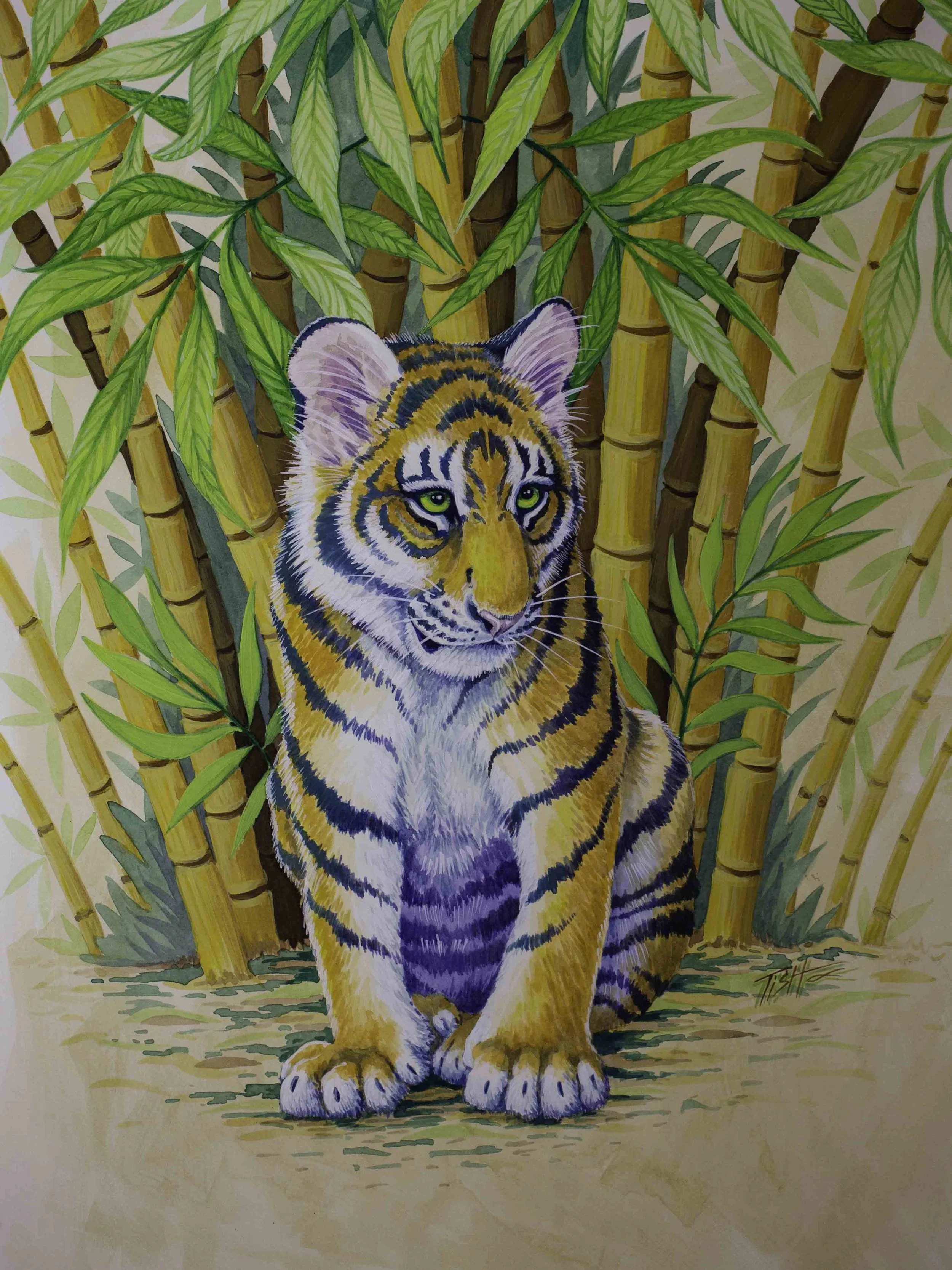 Tiger Cub Bamboo